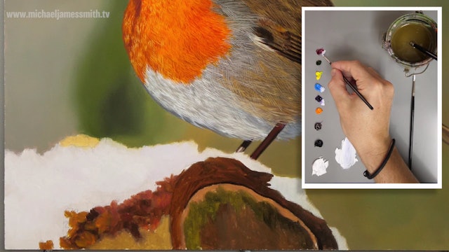 How To Paint a Robin Part 7