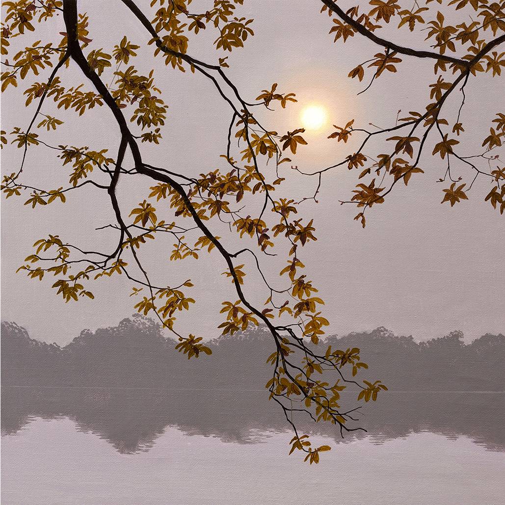 Mist Beneath the Branches - Beginner Level 3
