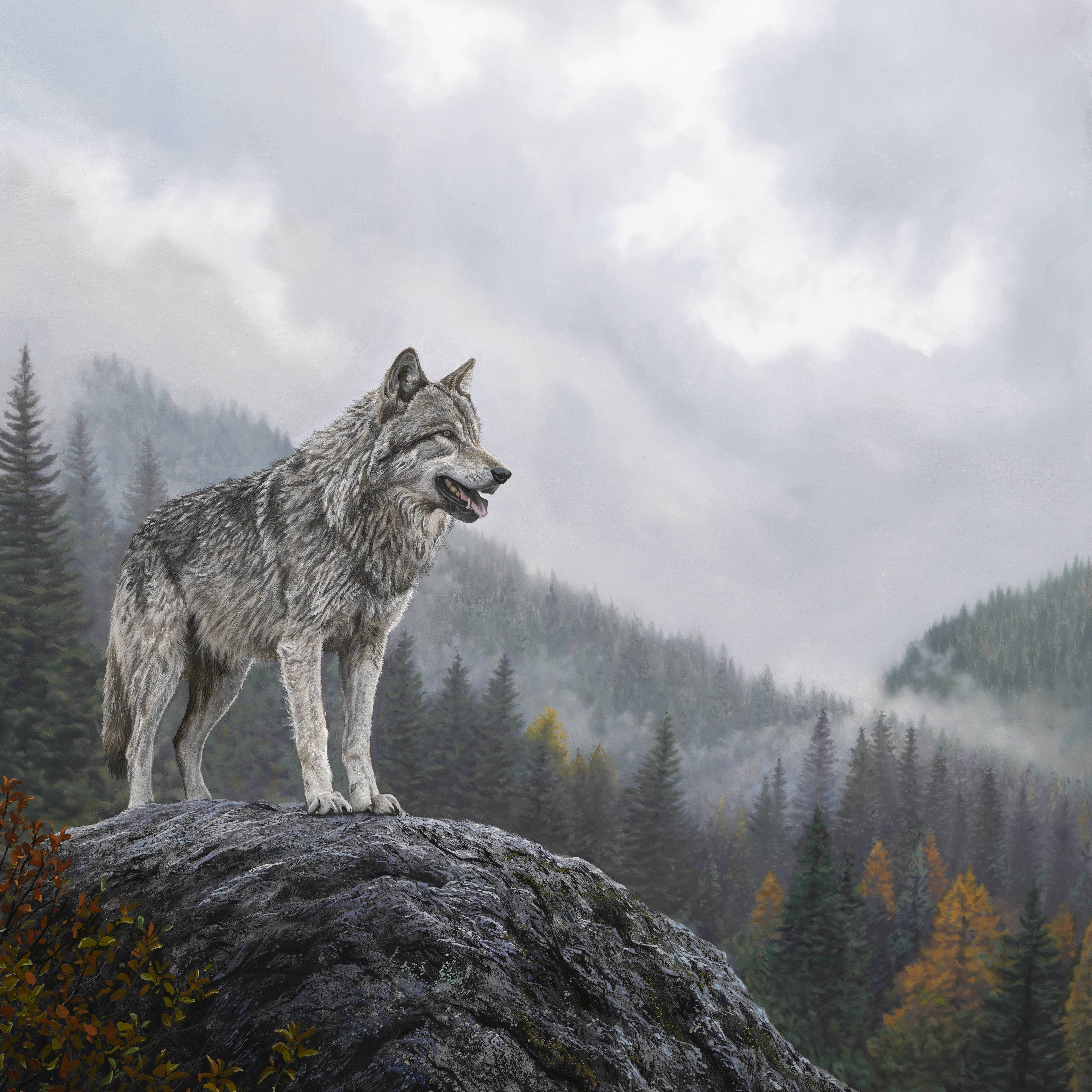 The Edge of Wilderness - Advanced Level 3