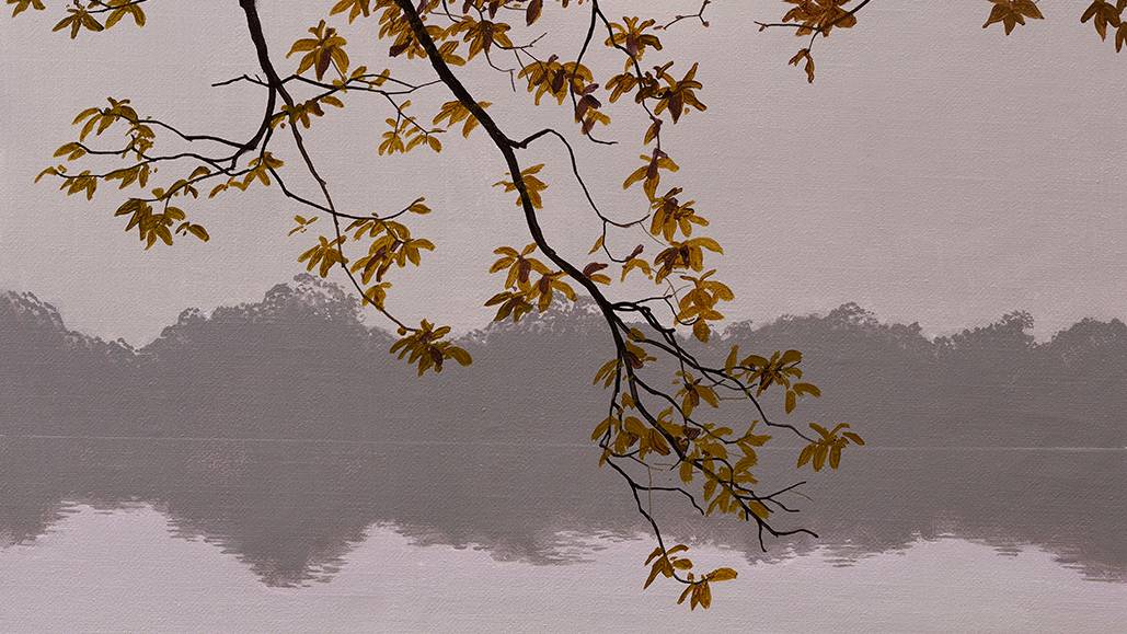 Mist Beneath the Branches - Beginner Level 3