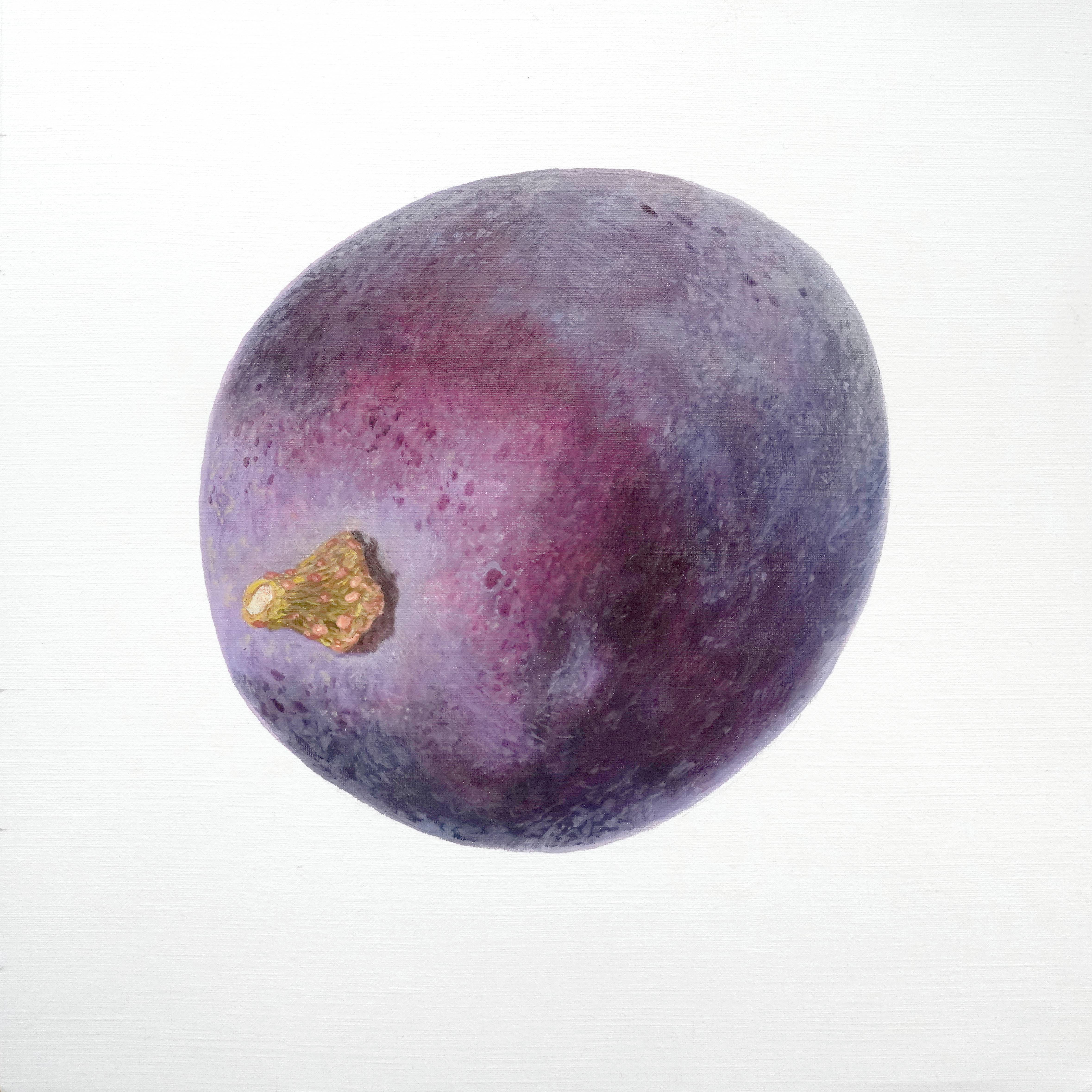 Red Grape - Beginner Level 1