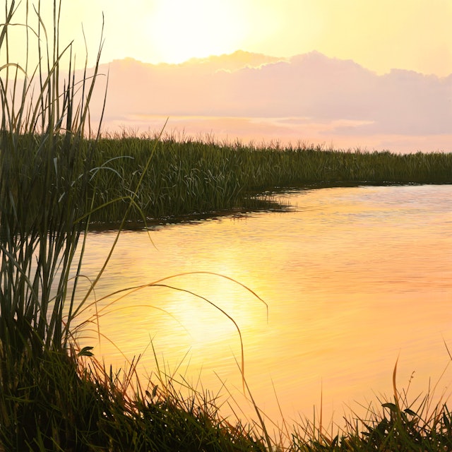 Everglade Sunset - Intermediate Level 2