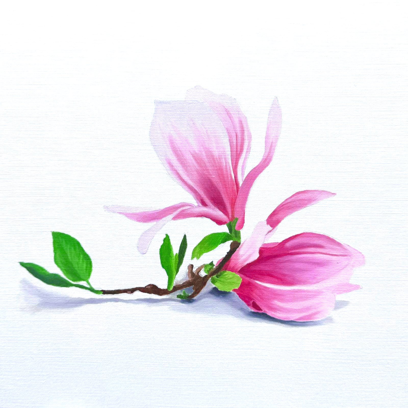 Magnolia - Beginner Level 2