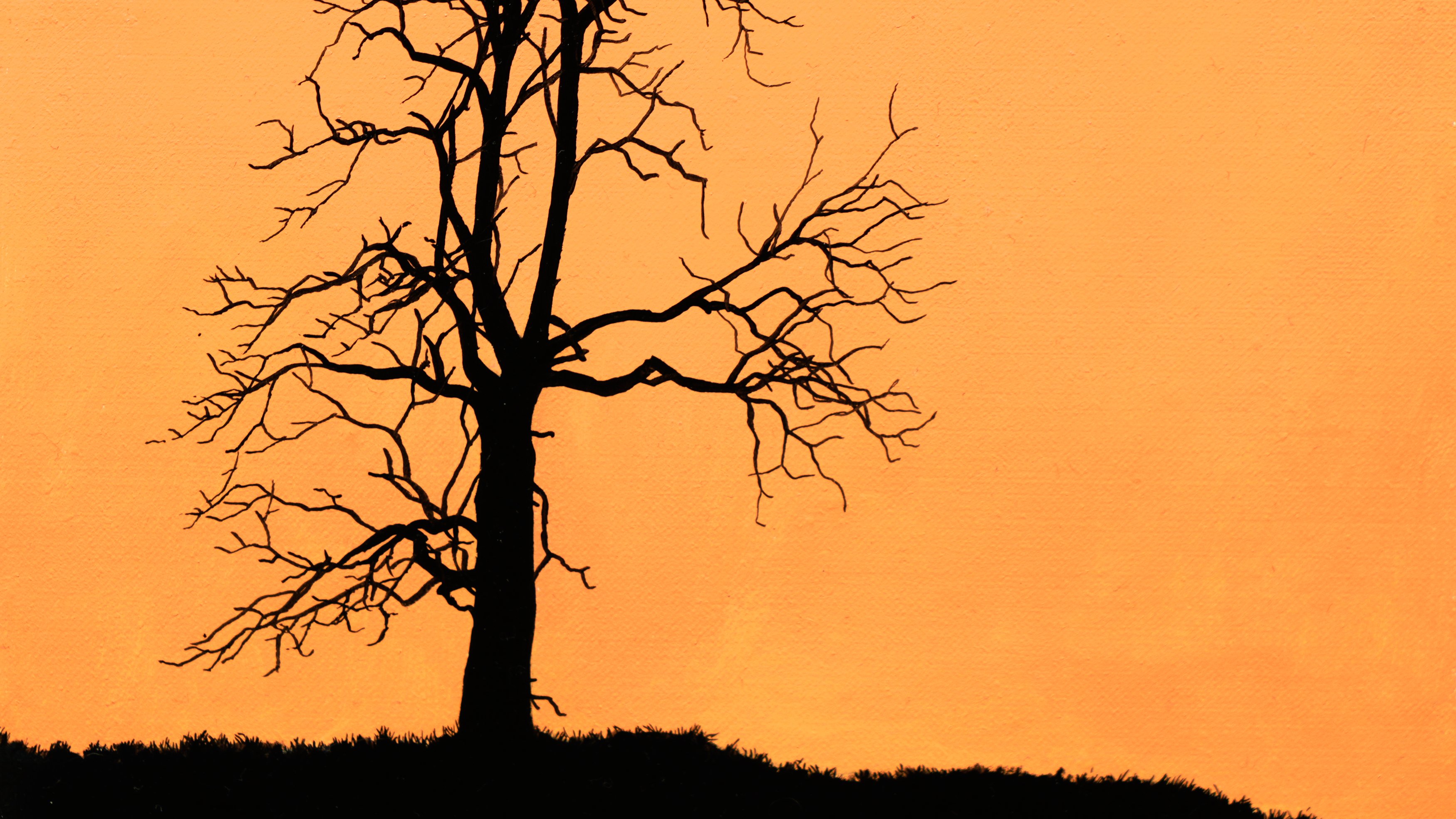 Tree 1 - Beginner Level 1