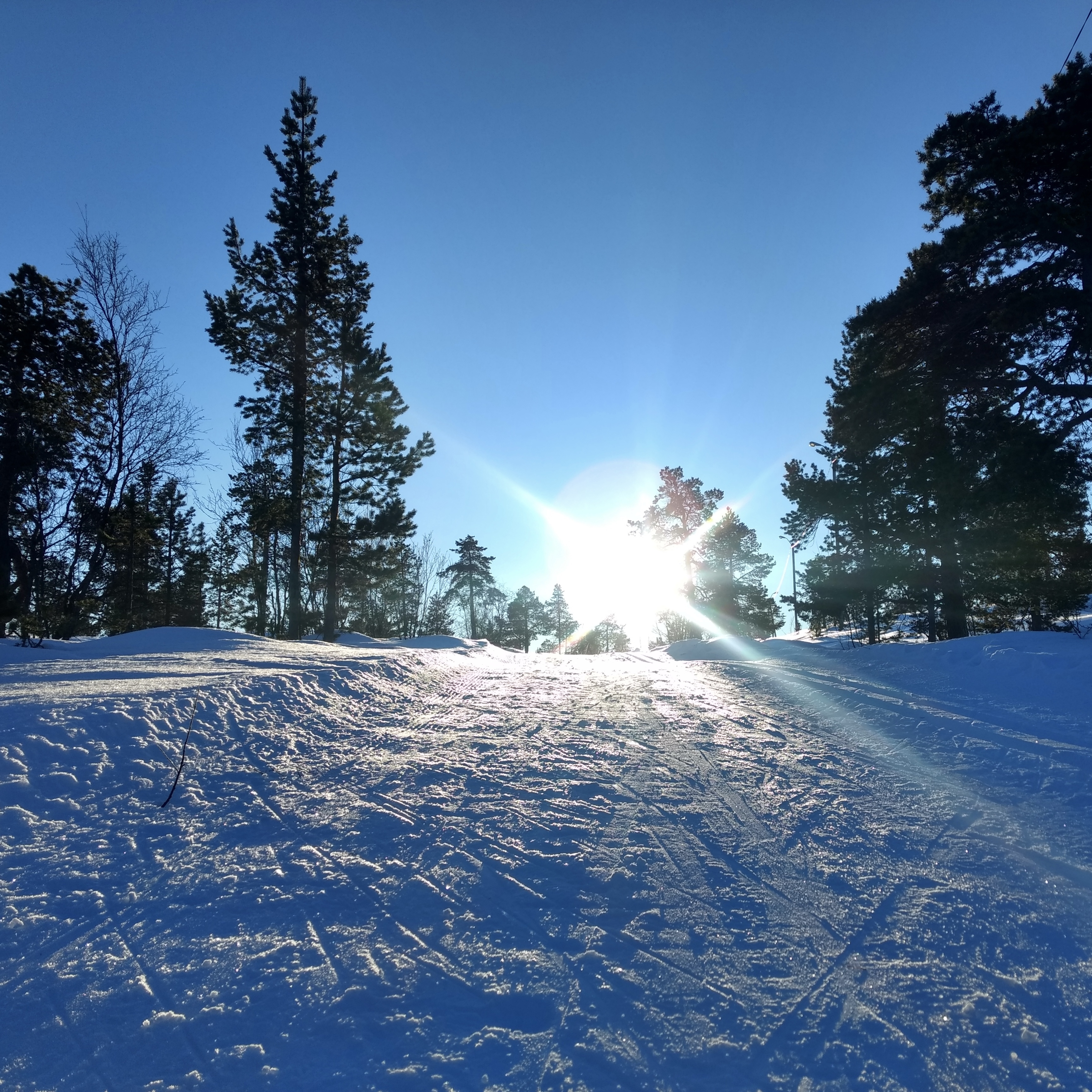 Fresh Morning Reference Photo.jpg