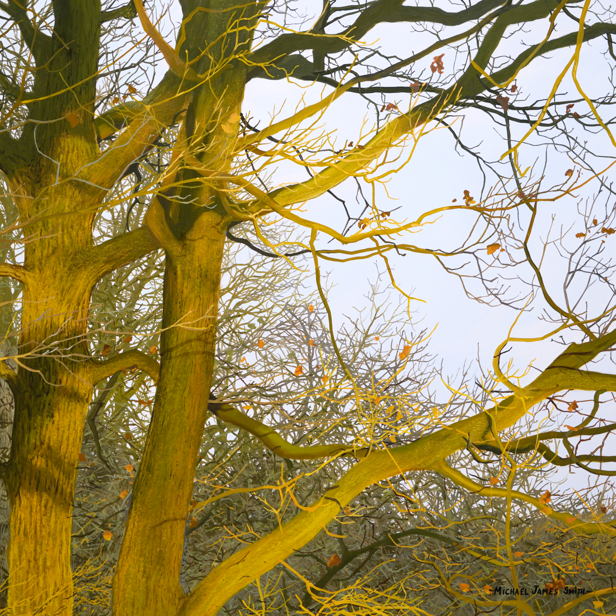 Tree Branch Study - Advanced Level 1