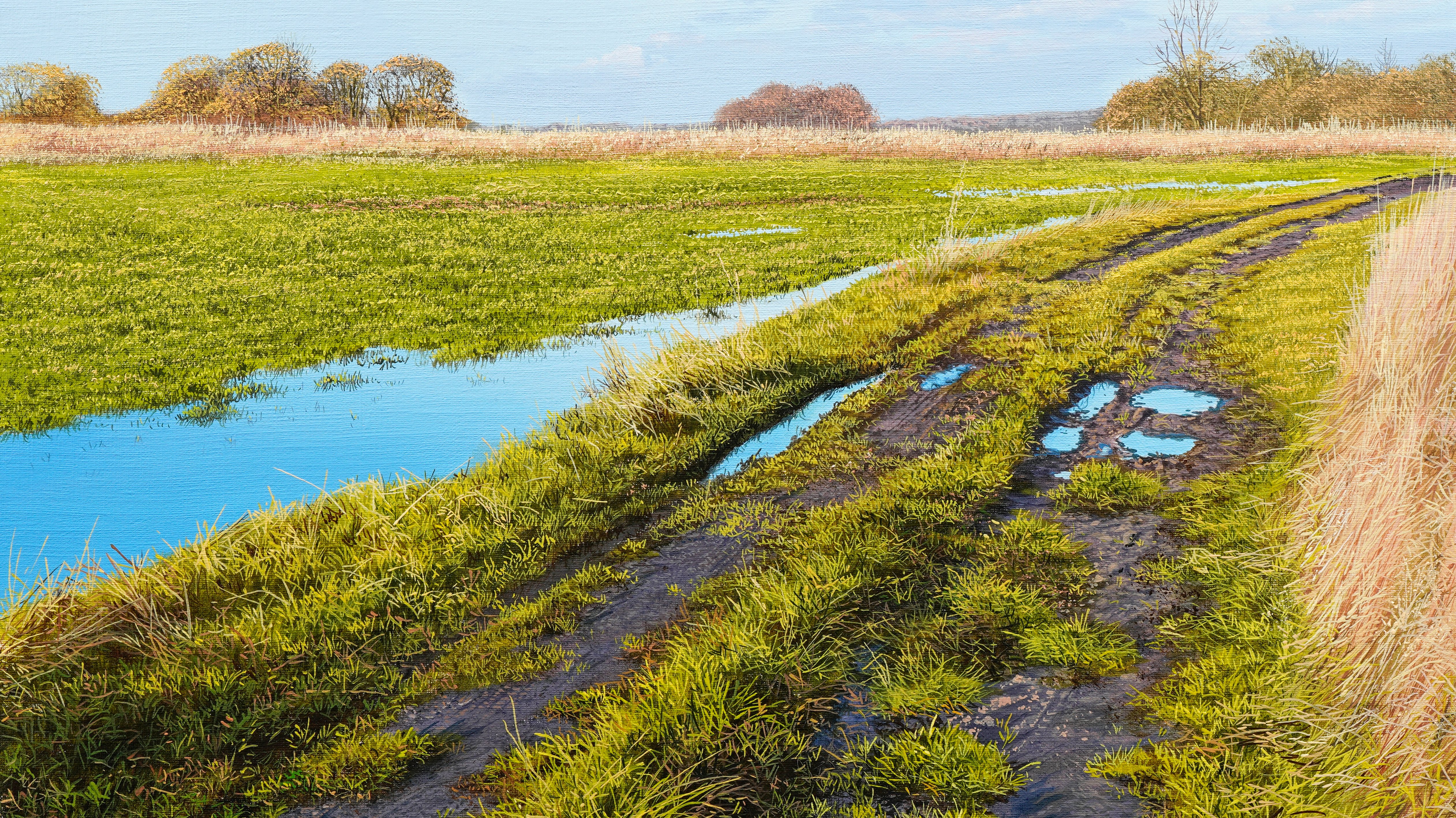 Sunshine & Puddles - Advanced Level 3