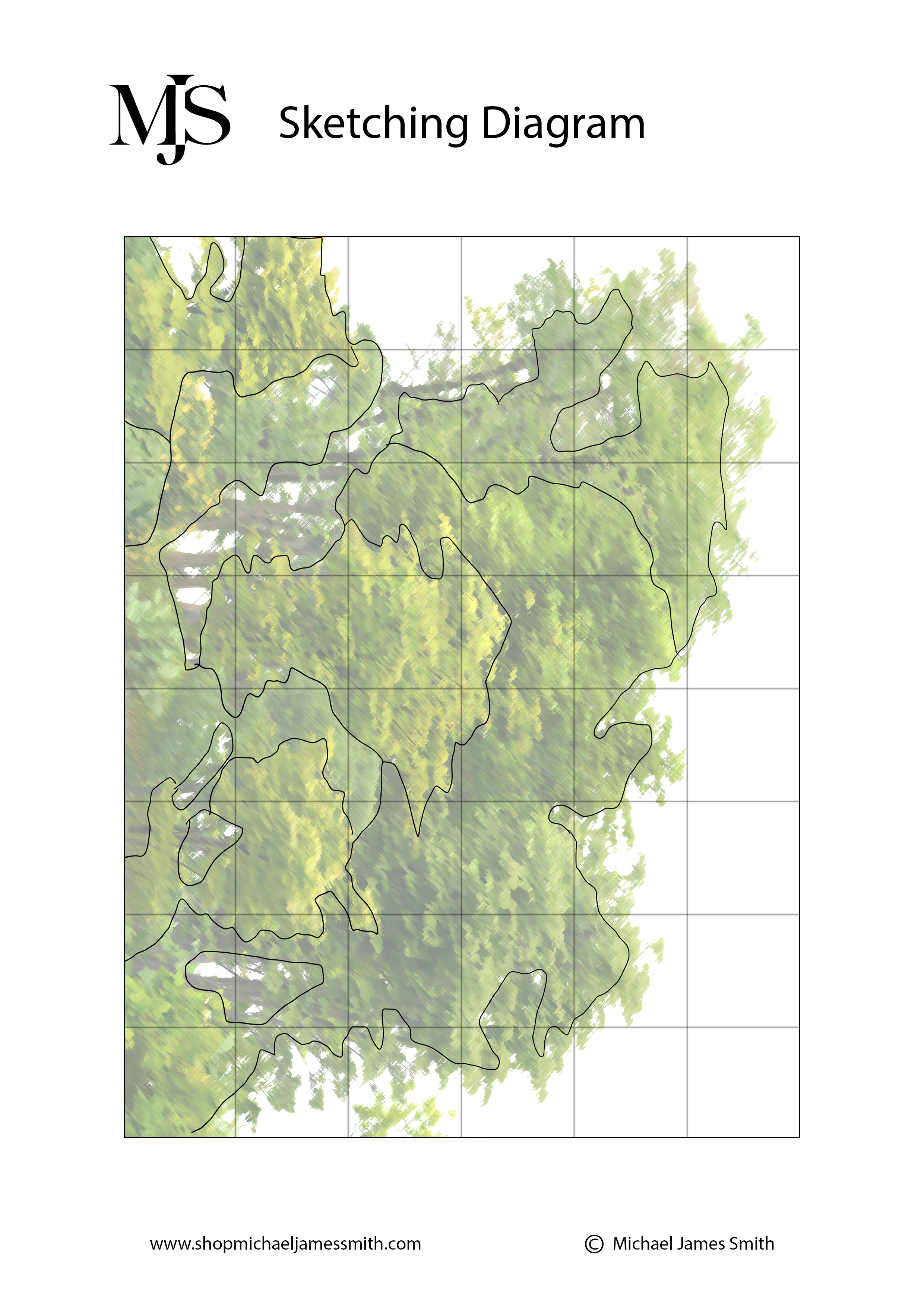 Tree Study Sketching Diagram.jpg