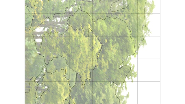 Tree Study Sketching Diagram.jpg