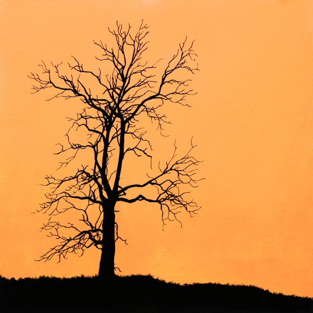 Tree 1 - Beginner Level 1