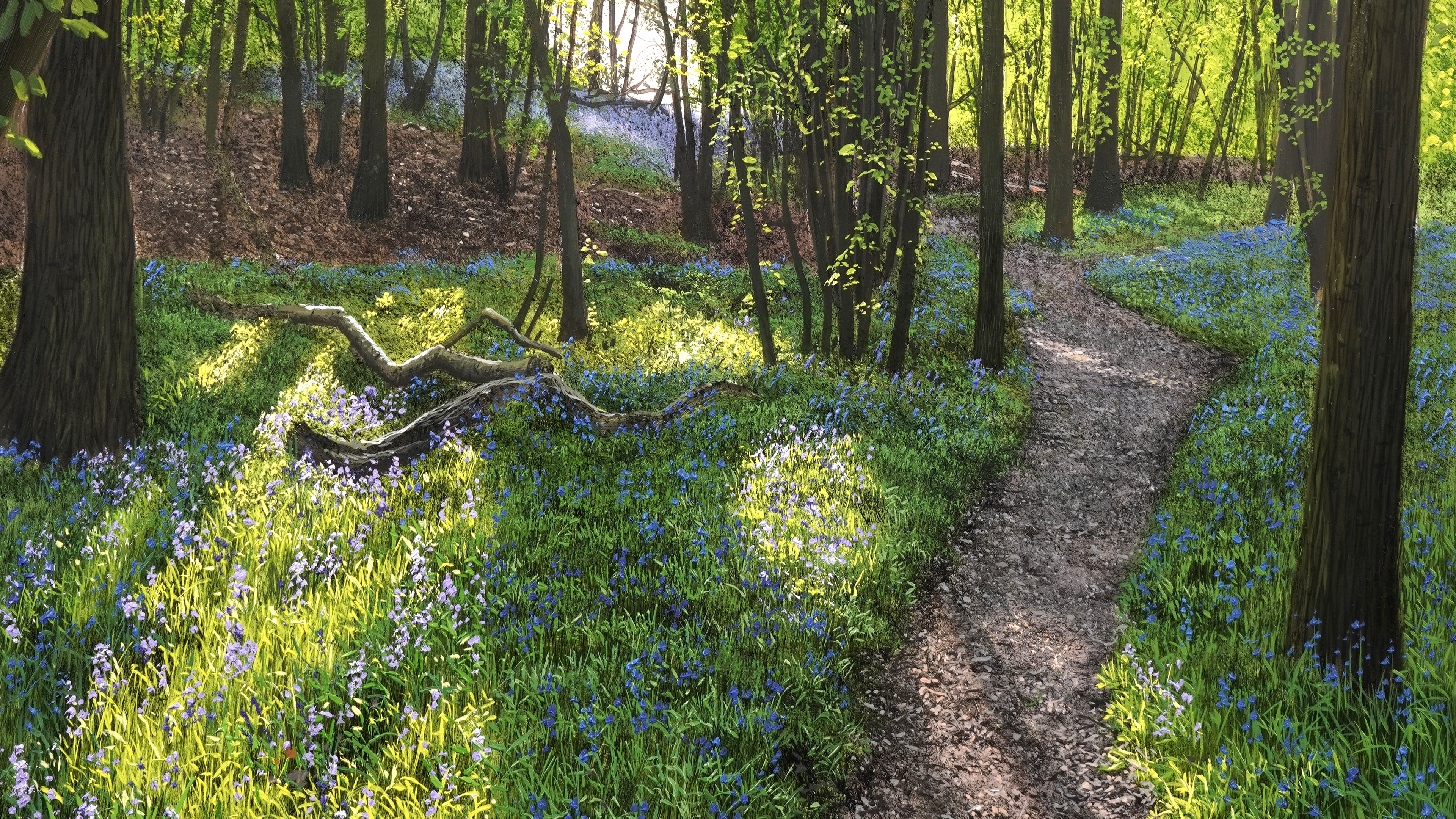 Blakes Wood - Advanced Level 3