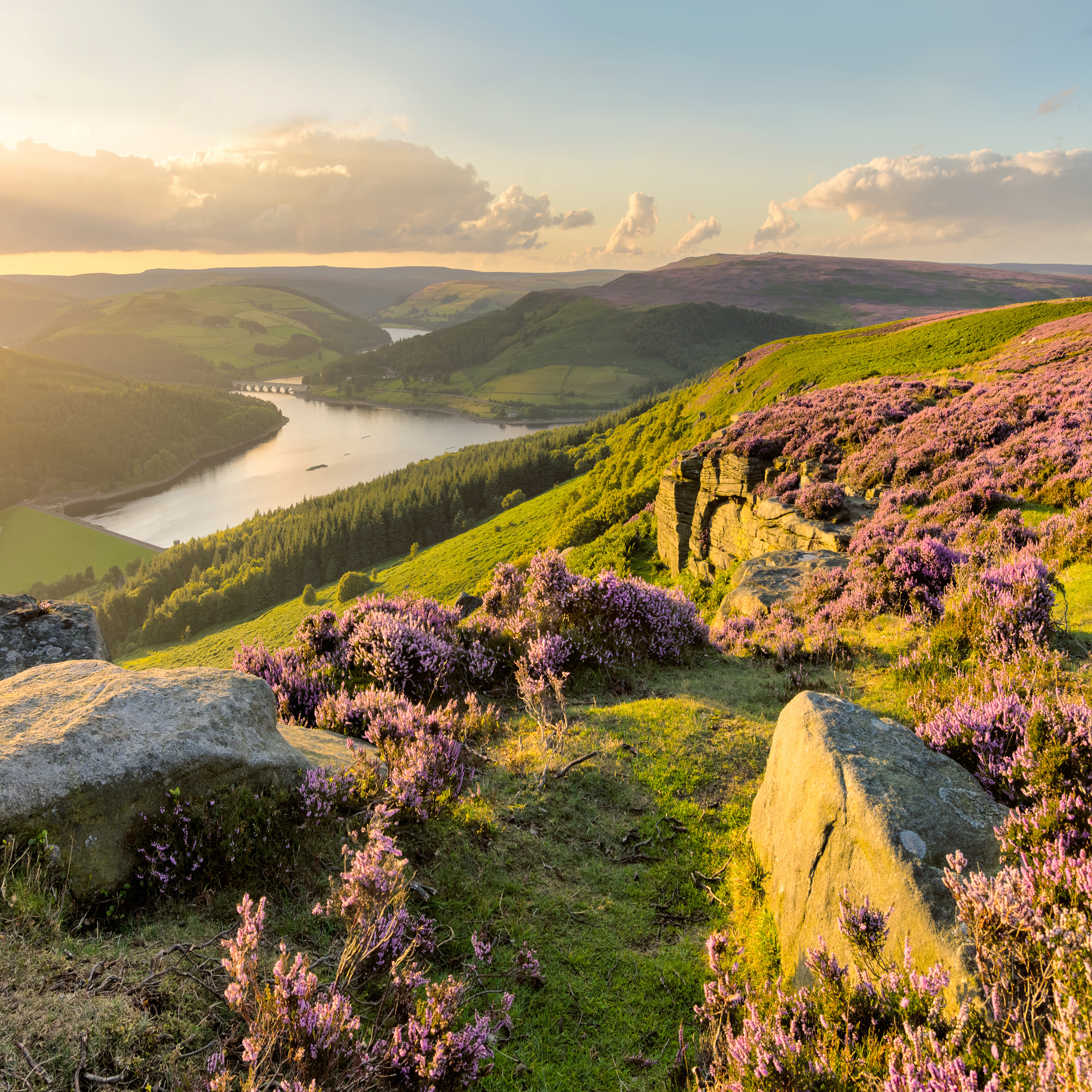 How To Paint a Distant Landscape - Advanced Level 1