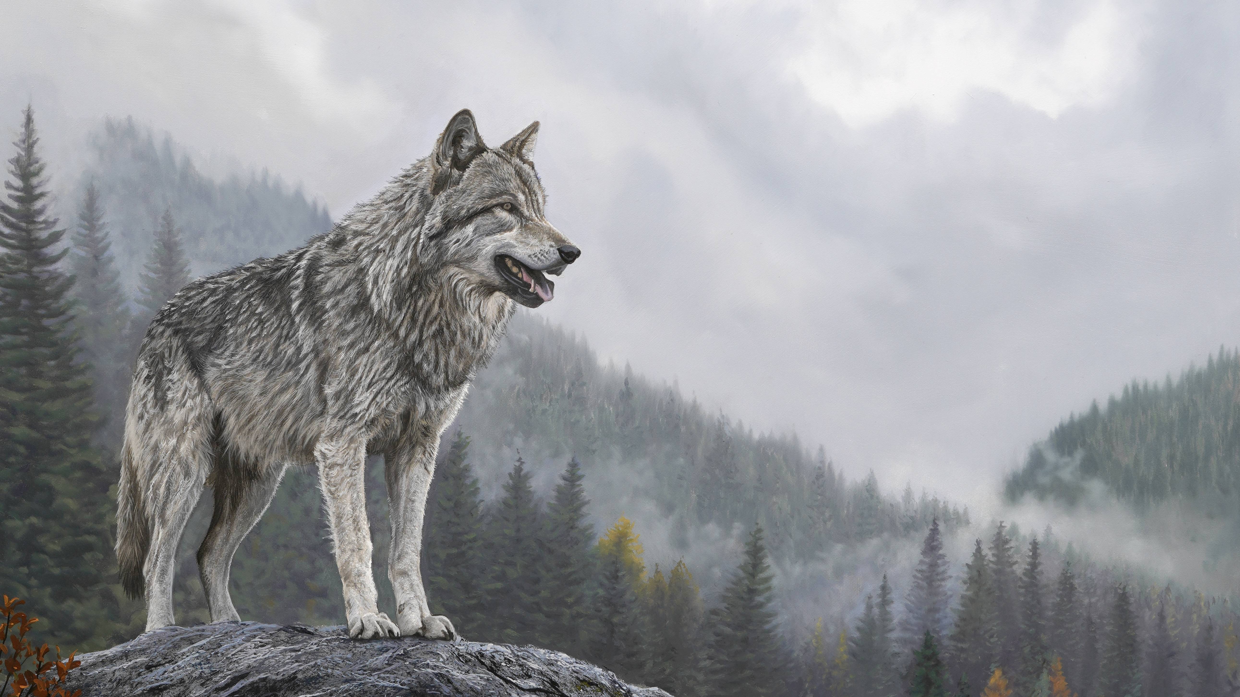 The Edge of Wilderness - Advanced Level 3