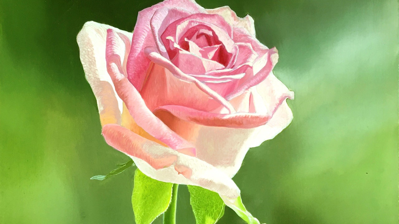 How to Paint a Rose - Advanced Level 1