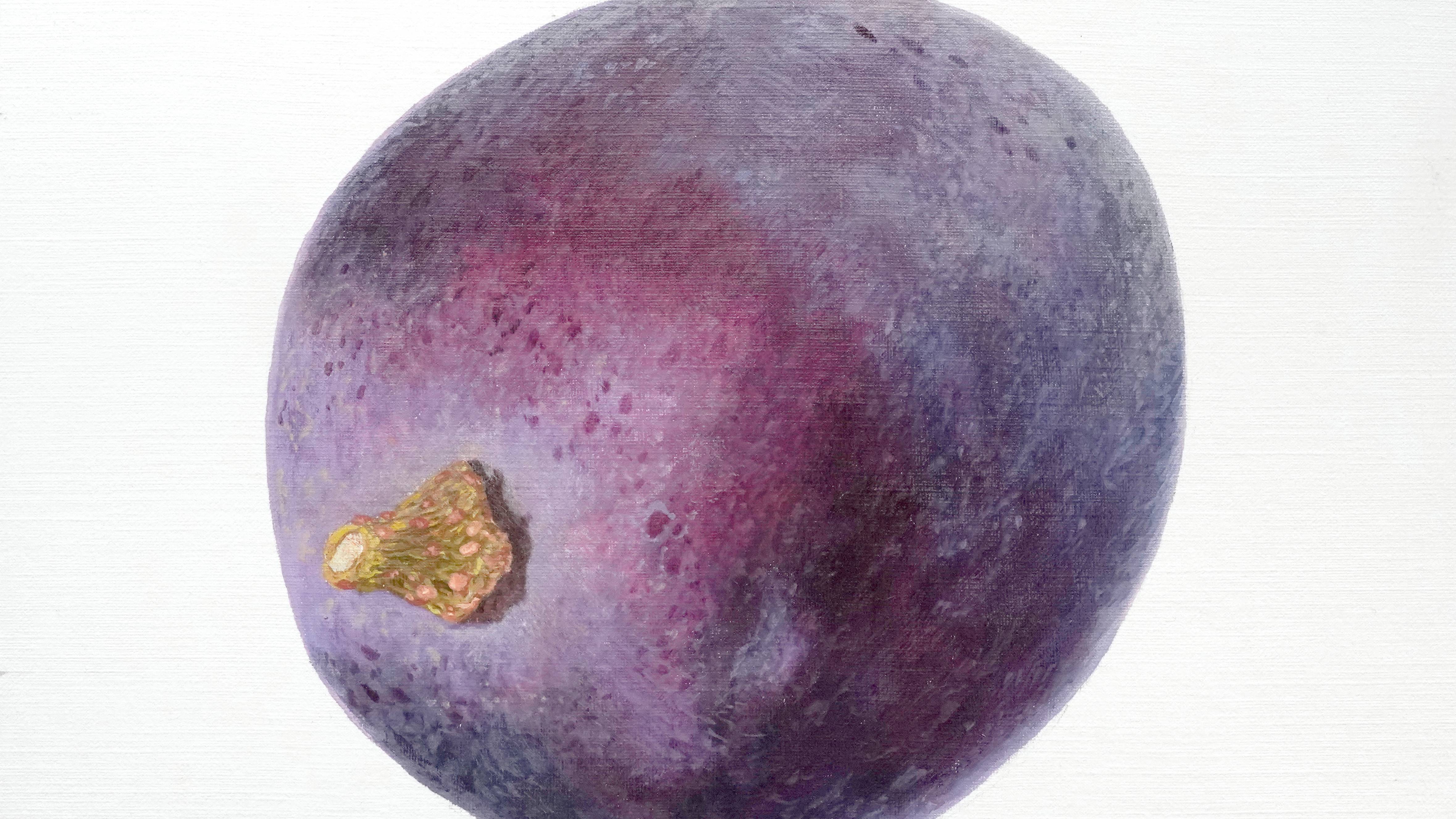 Red Grape - Beginner Level 1