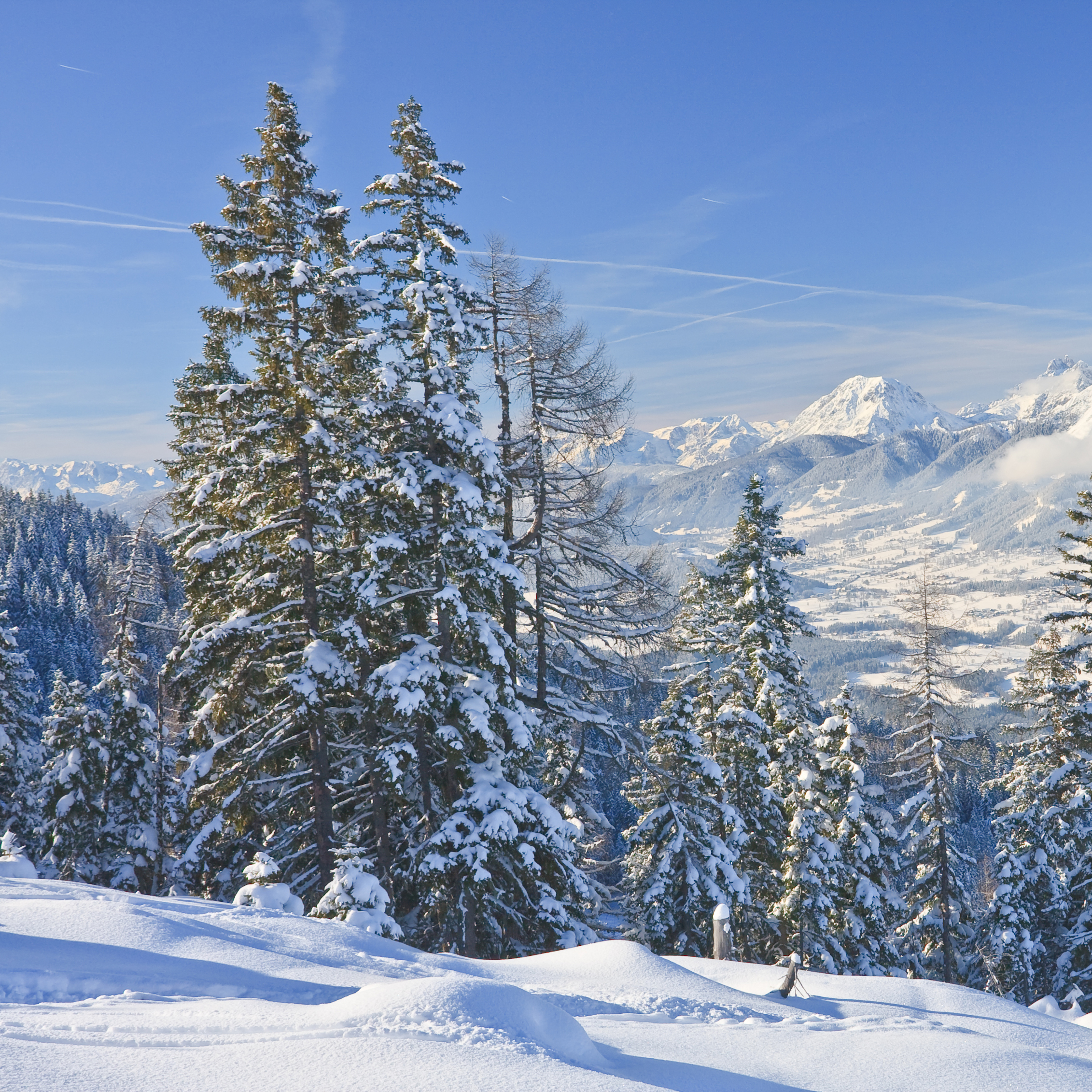 Winter in Austria Reference Photo.jpg