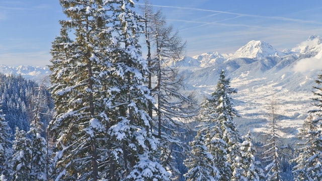 Winter in Austria Reference Photo.jpg