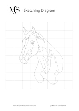 How to paint a Horse Sketching Diagram.jpg