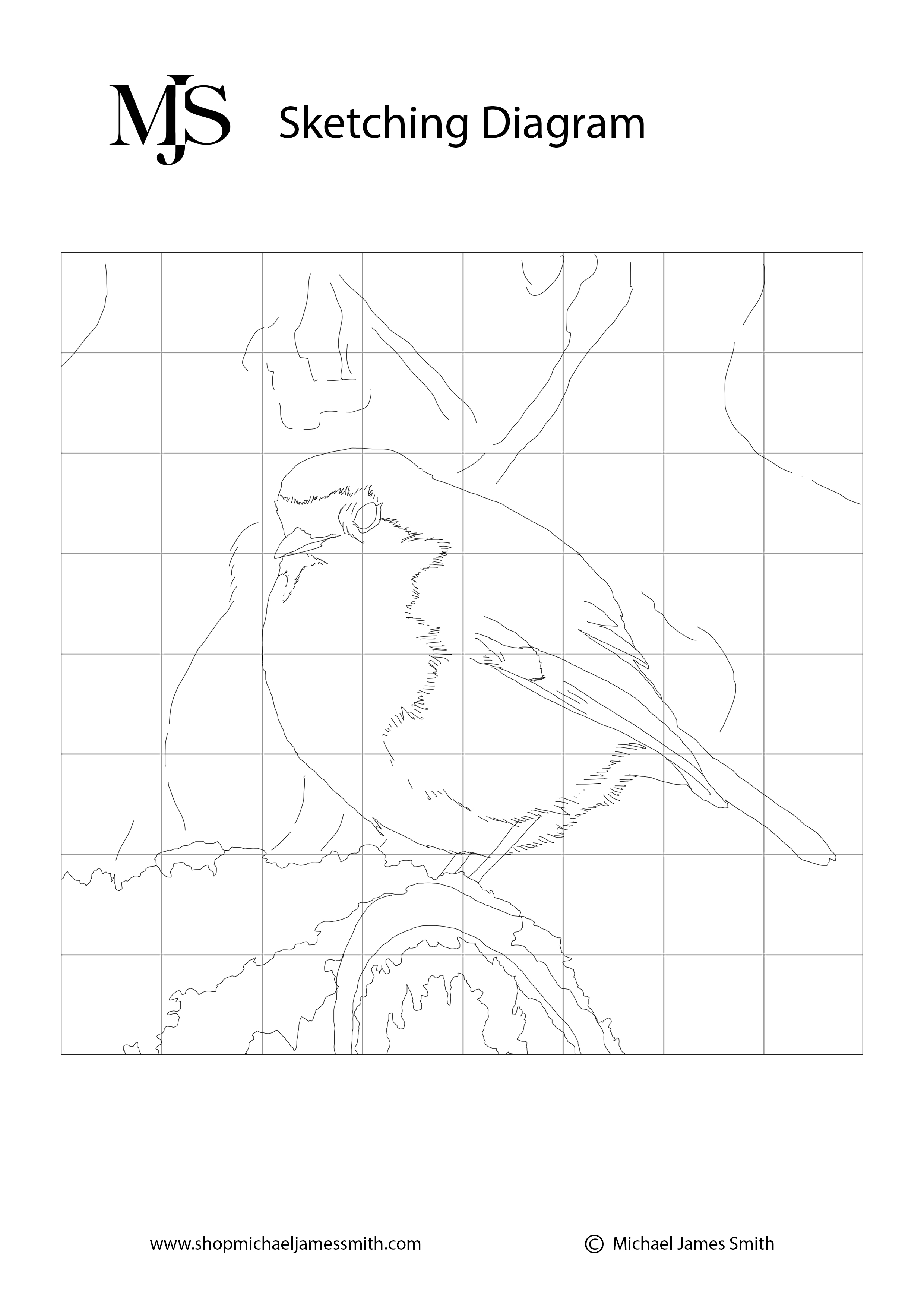 How to paint a Robin Sketching Diagram.jpg