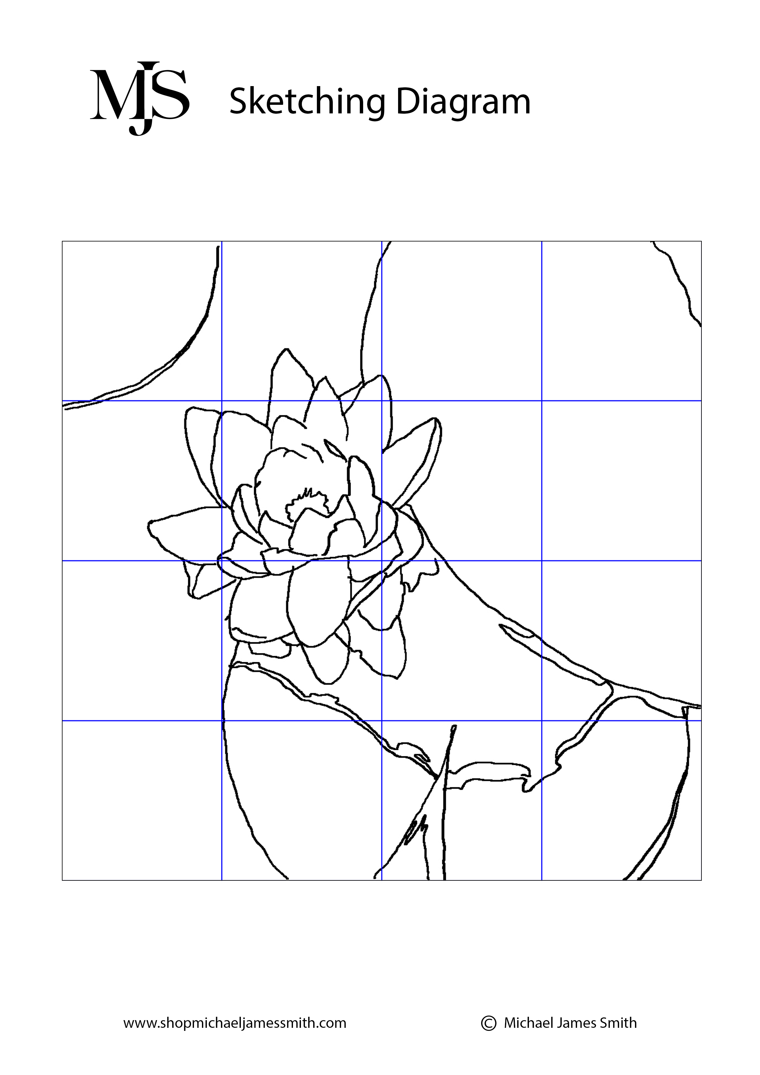 How to Paint a Lilly Flower Sketching Diagram.jpg