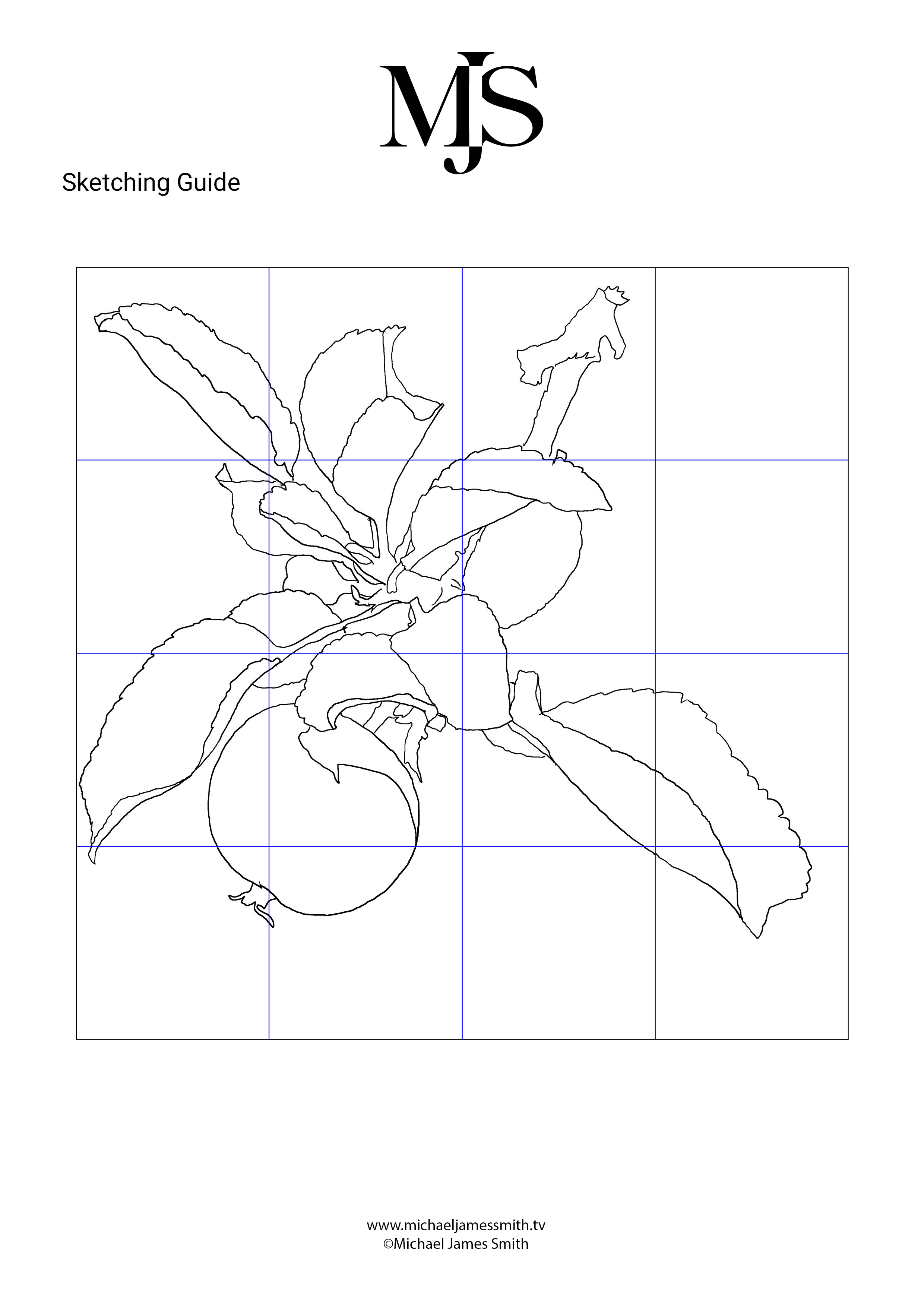 How to Paint an Apple Sketching Diagram.jpg