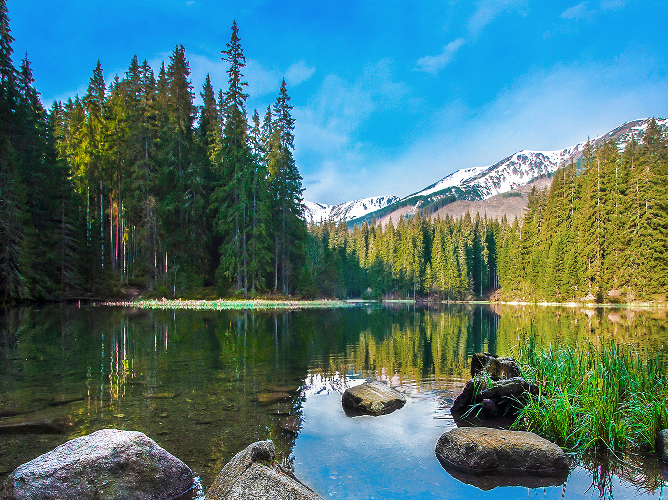 Lake Reflections Reference Photo.jpg