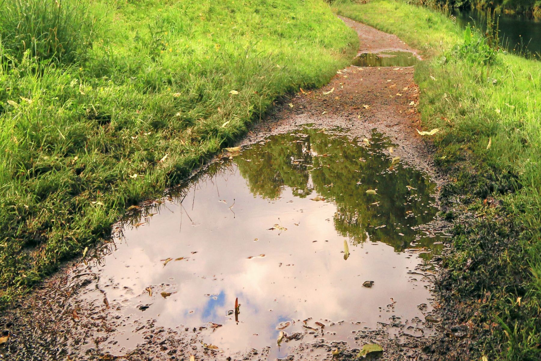 How to Paint a Puddle Reference Photo.jpg
