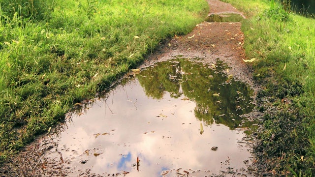 How to Paint a Puddle Reference Photo.jpg