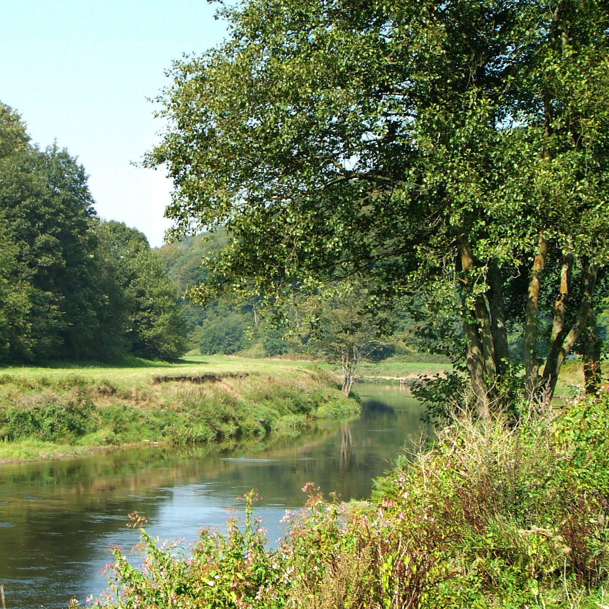 How to Paint a River Reference Photo.jpg