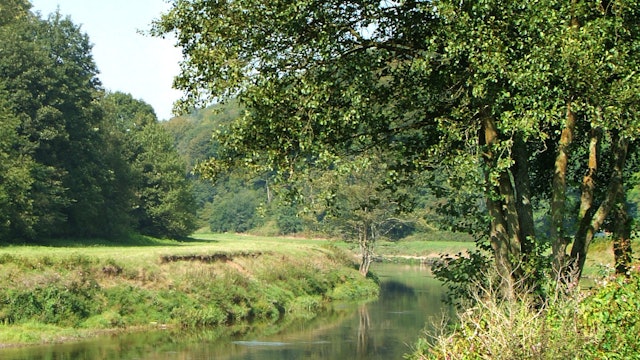 How to Paint a River Reference Photo.jpg