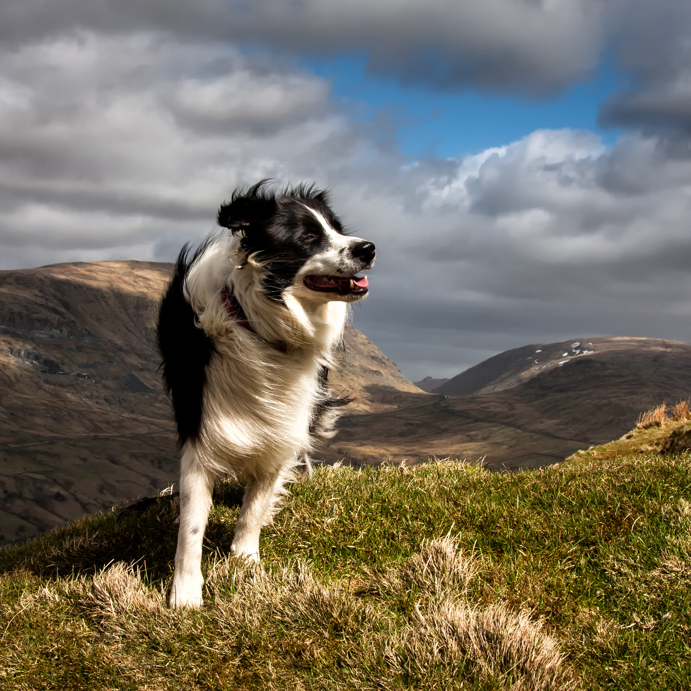 Young Bess Reference Photo.jpg