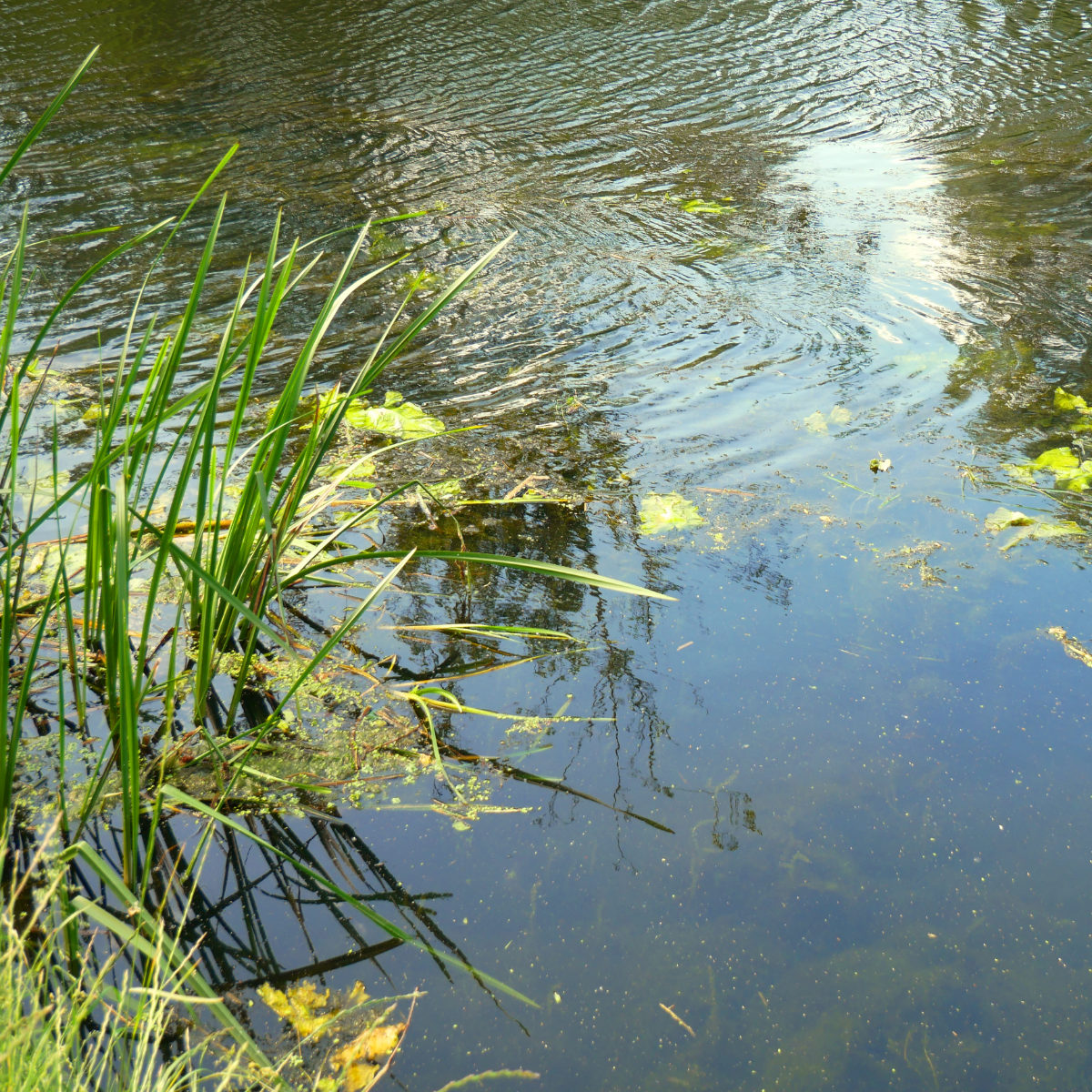 How to Paint Water Reference Photo.jpg