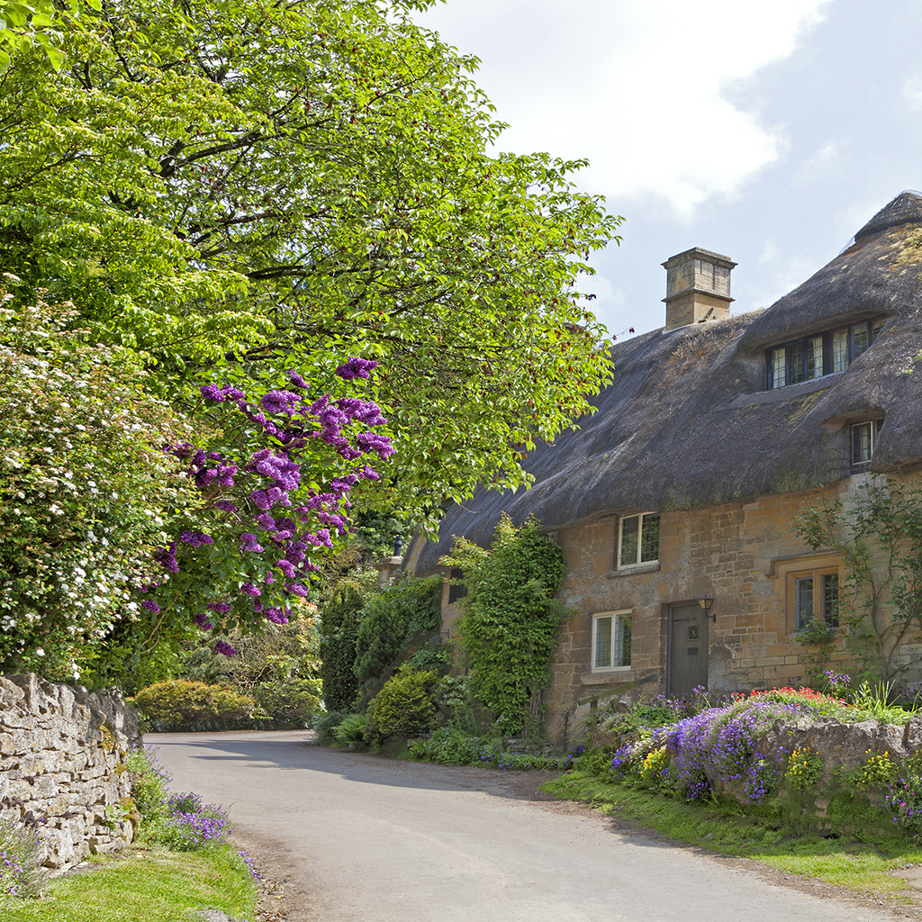 Thatched Cottage Reference Photo.jpg
