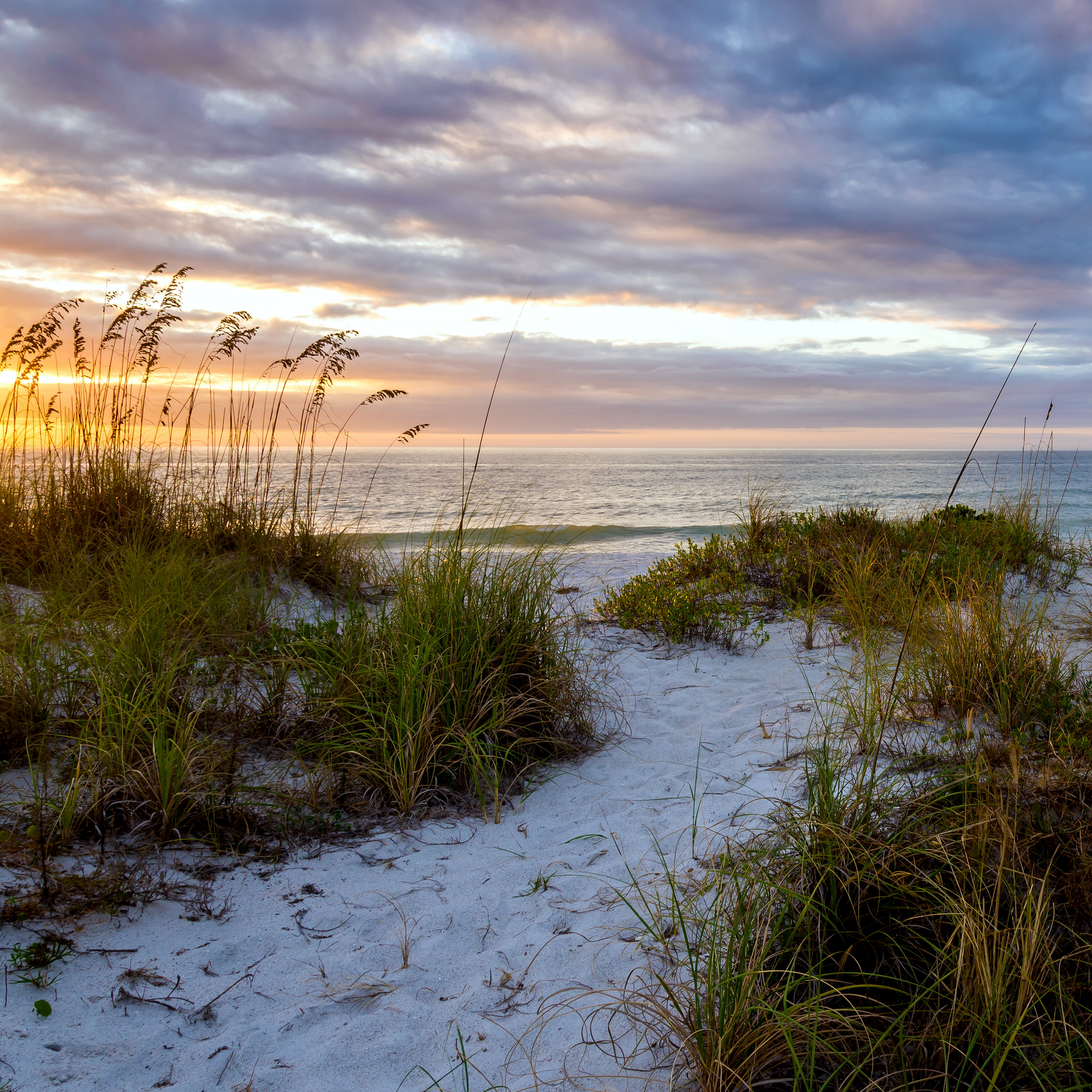Sand Dune Sunset Reference Photo.jpg
