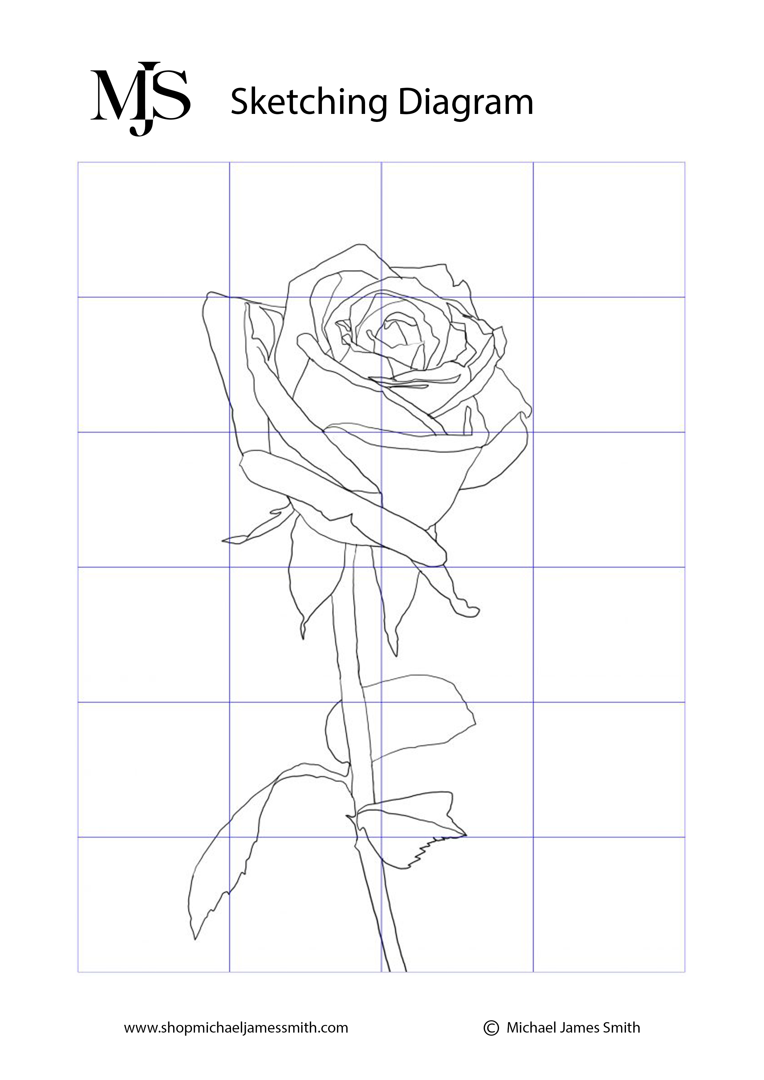 Rose Tutorial Sketching Diagram.jpg