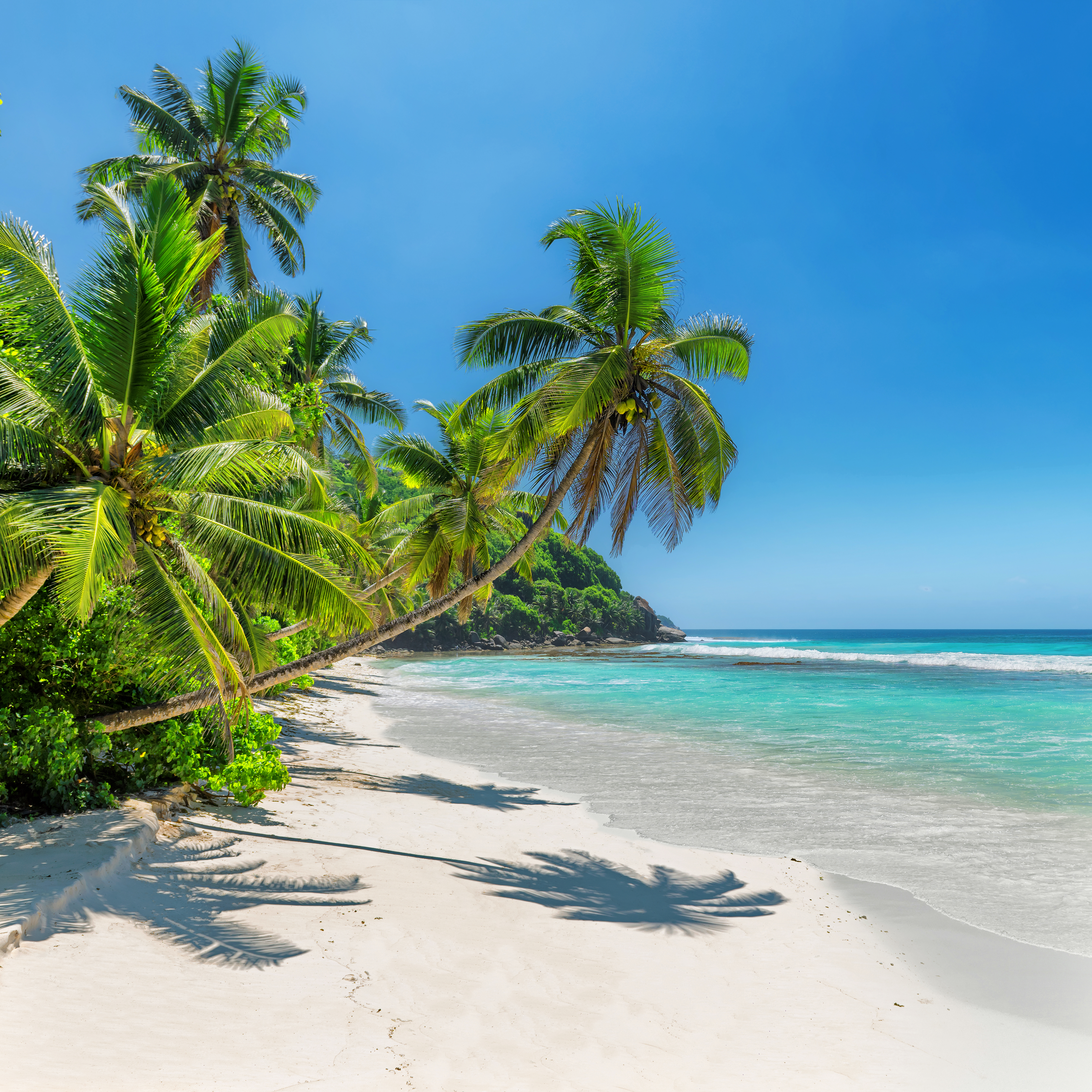 Paradise Sands Reference Photo.jpg