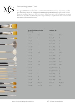 Brush Comparison Chart 1.jpg
