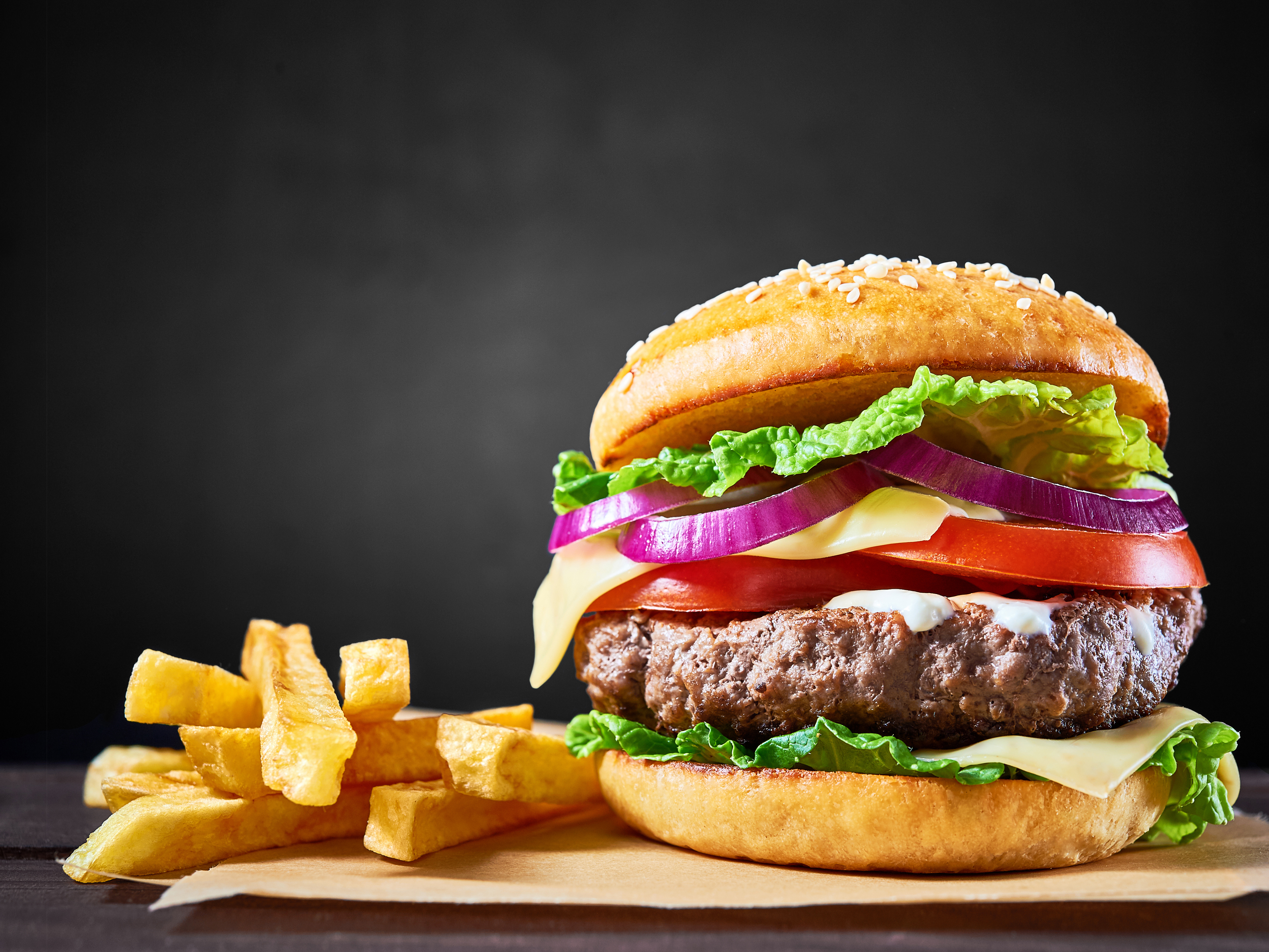 The Burger Reference Photo.jpg