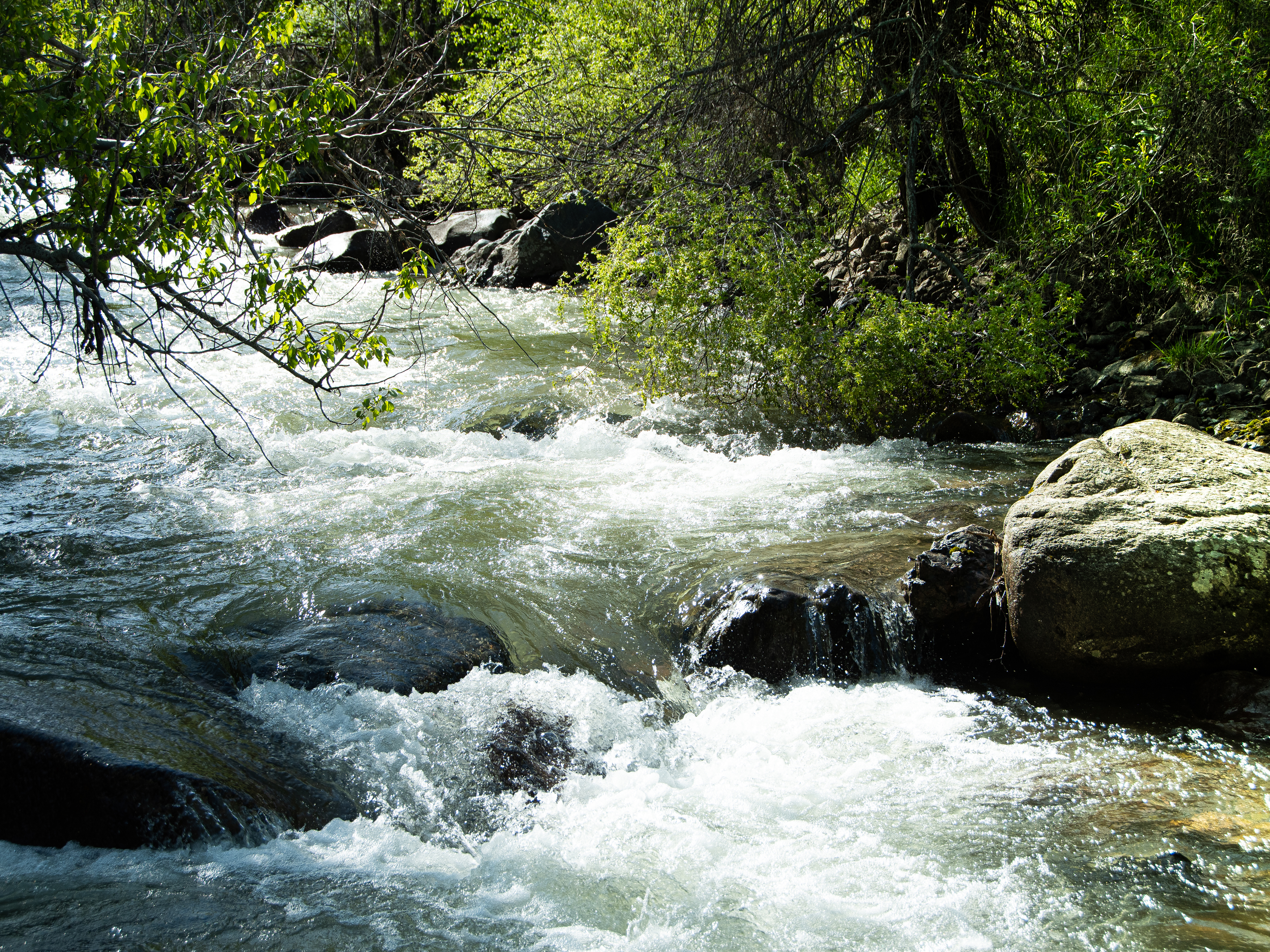 Rushing River Reference Photo.jpg