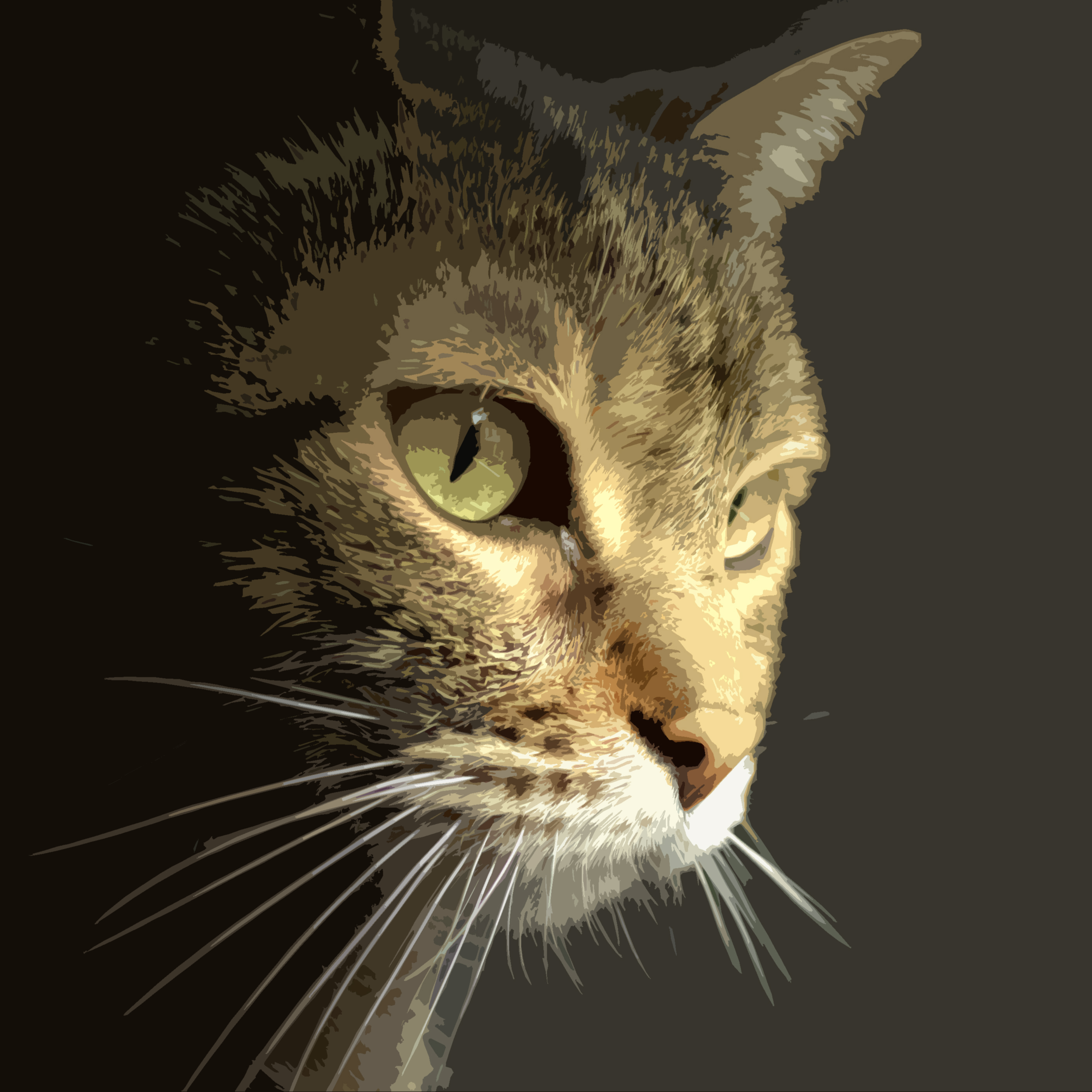 Tabby Cat Block In Guide.jpg