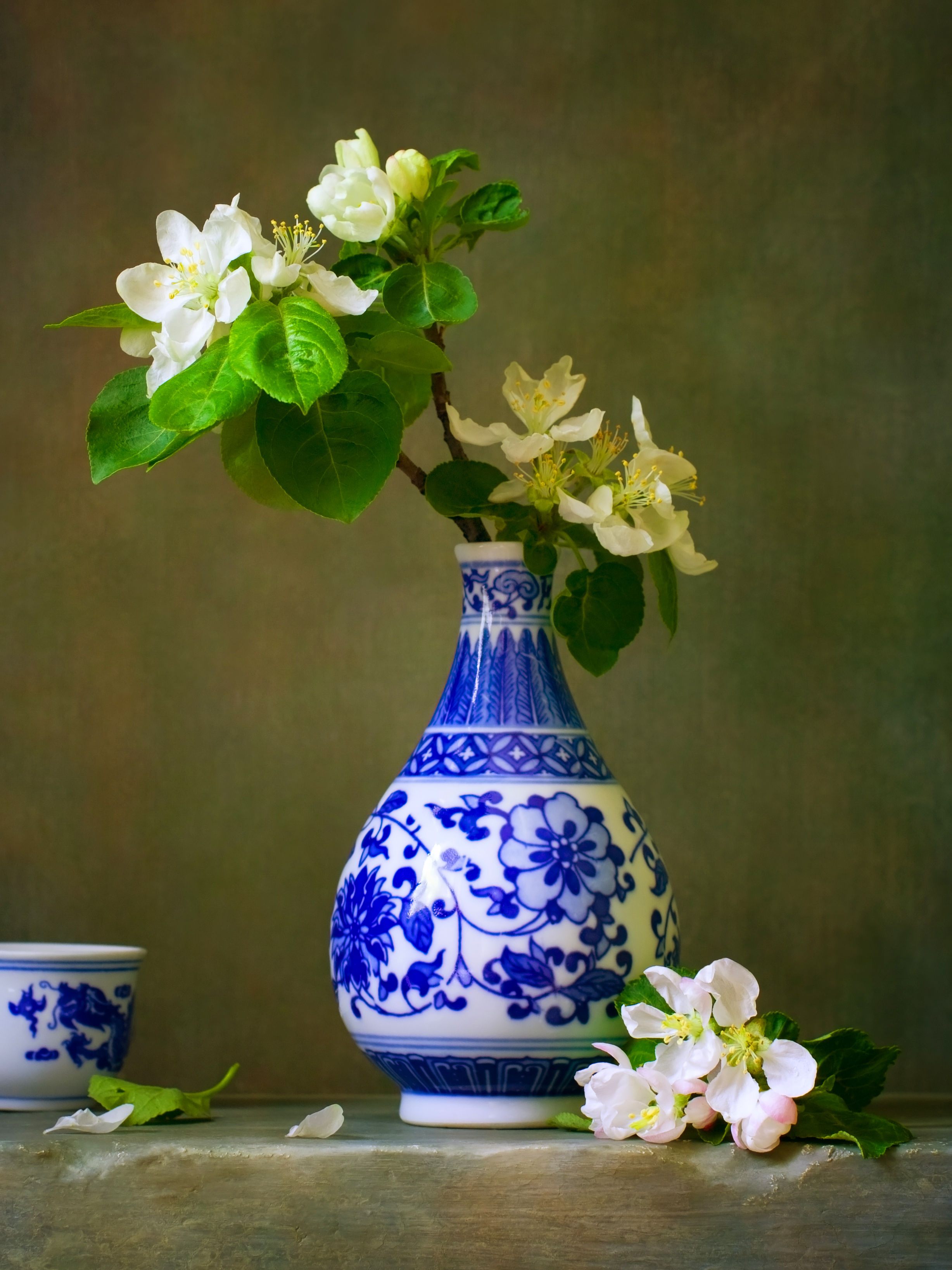 Apple Blossom Reference Photo.jpg