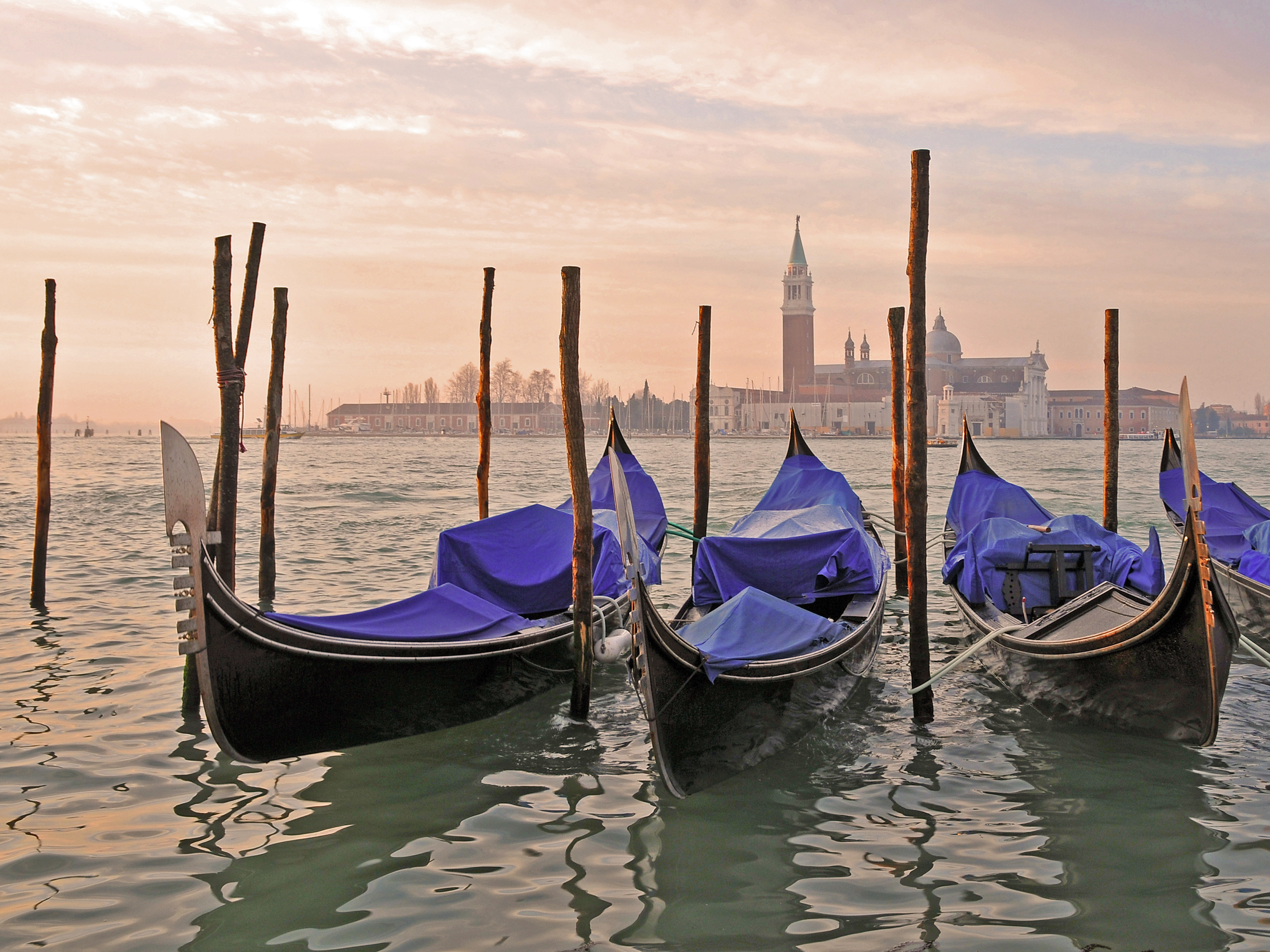 Venice Gondolas reference photo.jpg