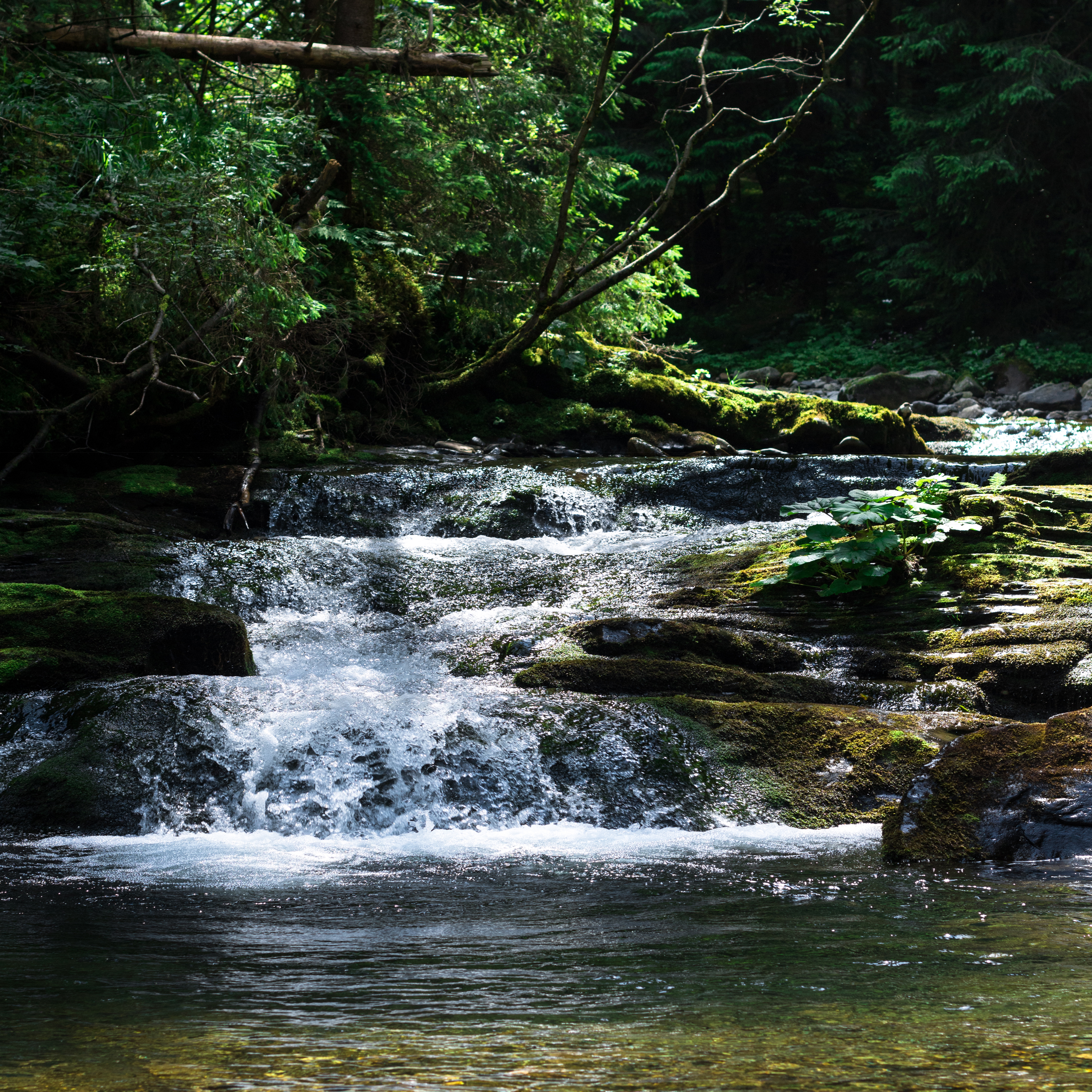 Waterfall Reference Photo.jpg