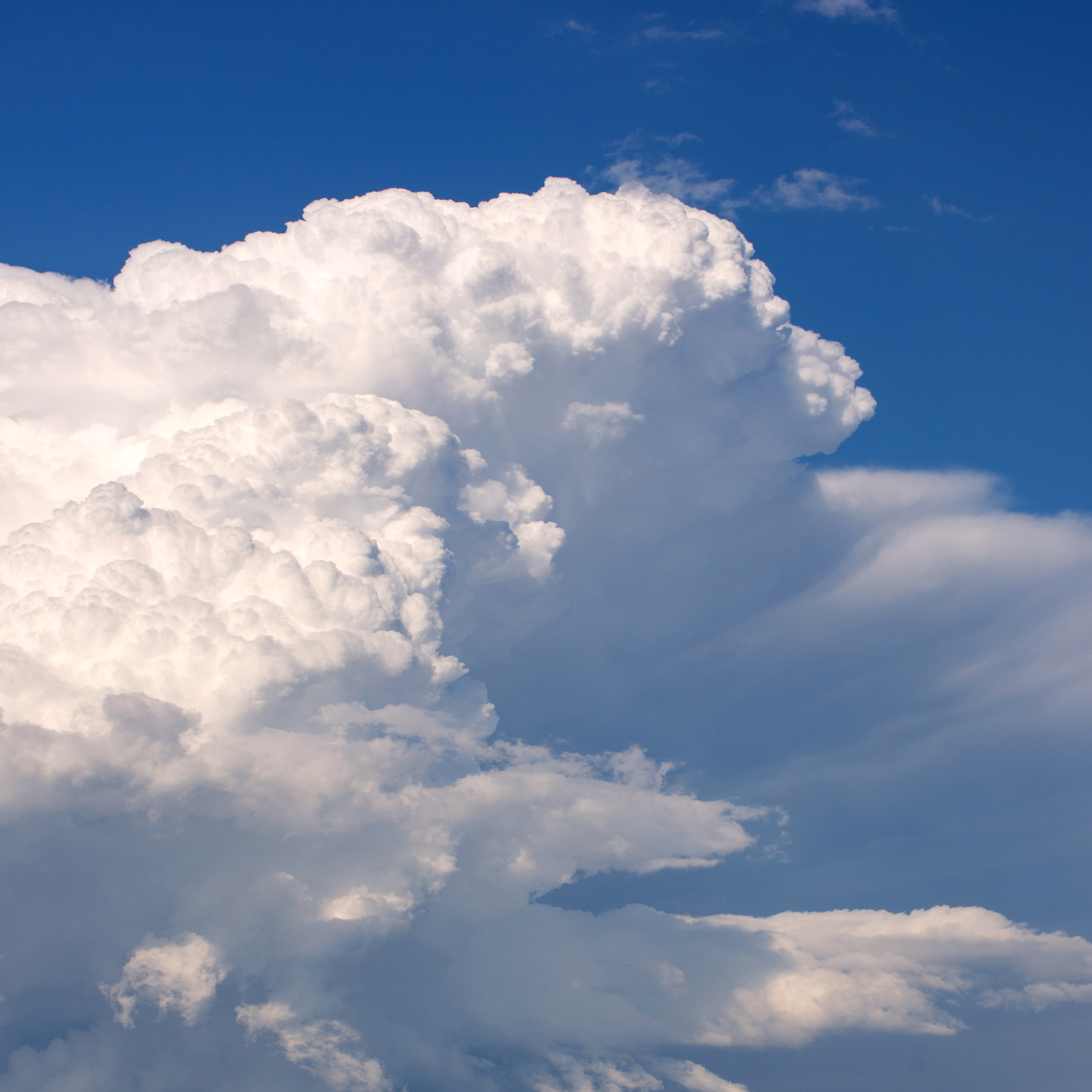 Cumulonimbus Reference Photo.jpg