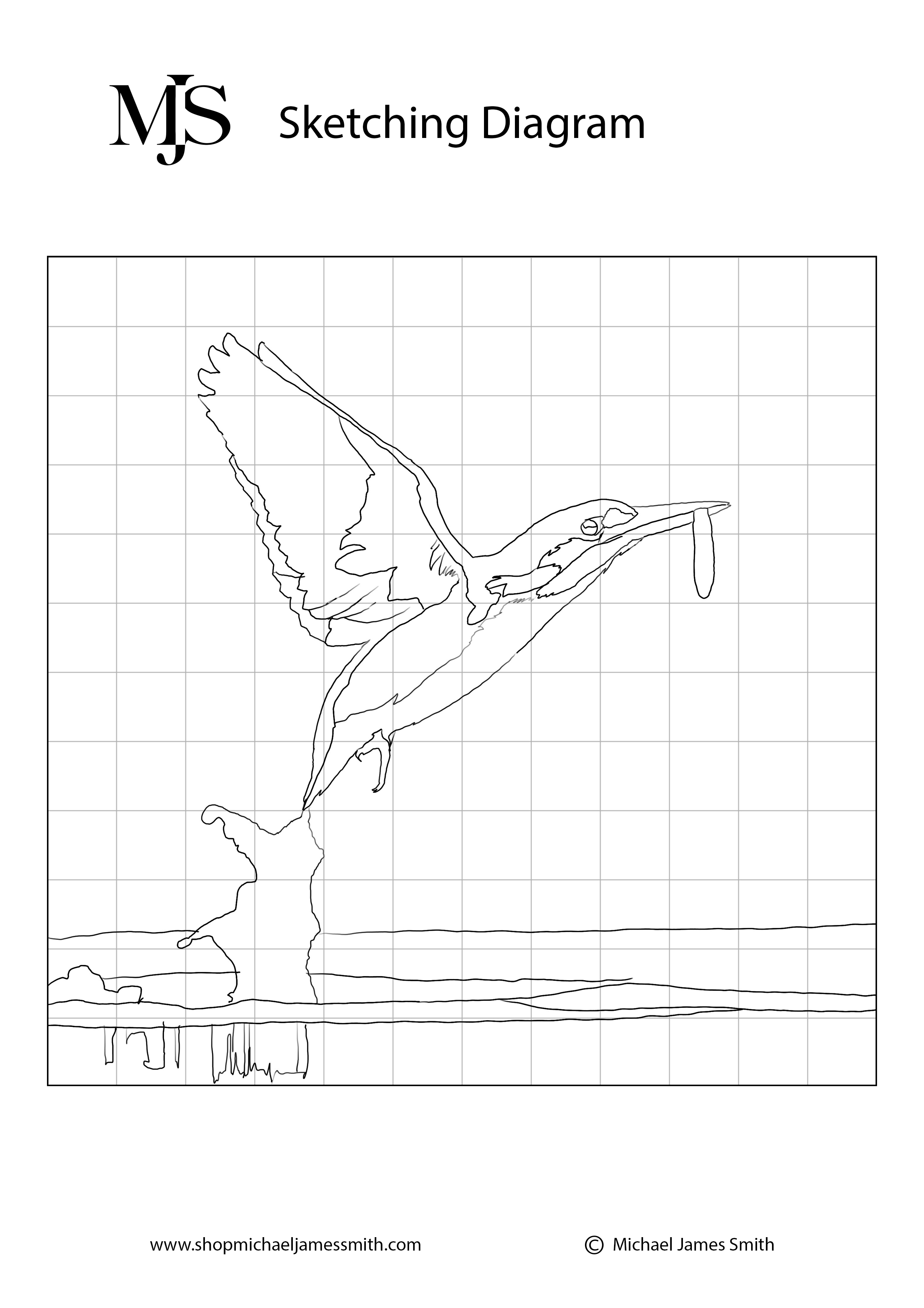 The Kingfisher Sketching Diagram.jpg