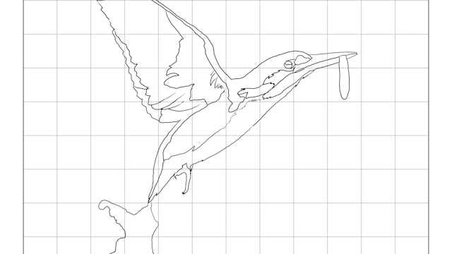 The Kingfisher Sketching Diagram.jpg