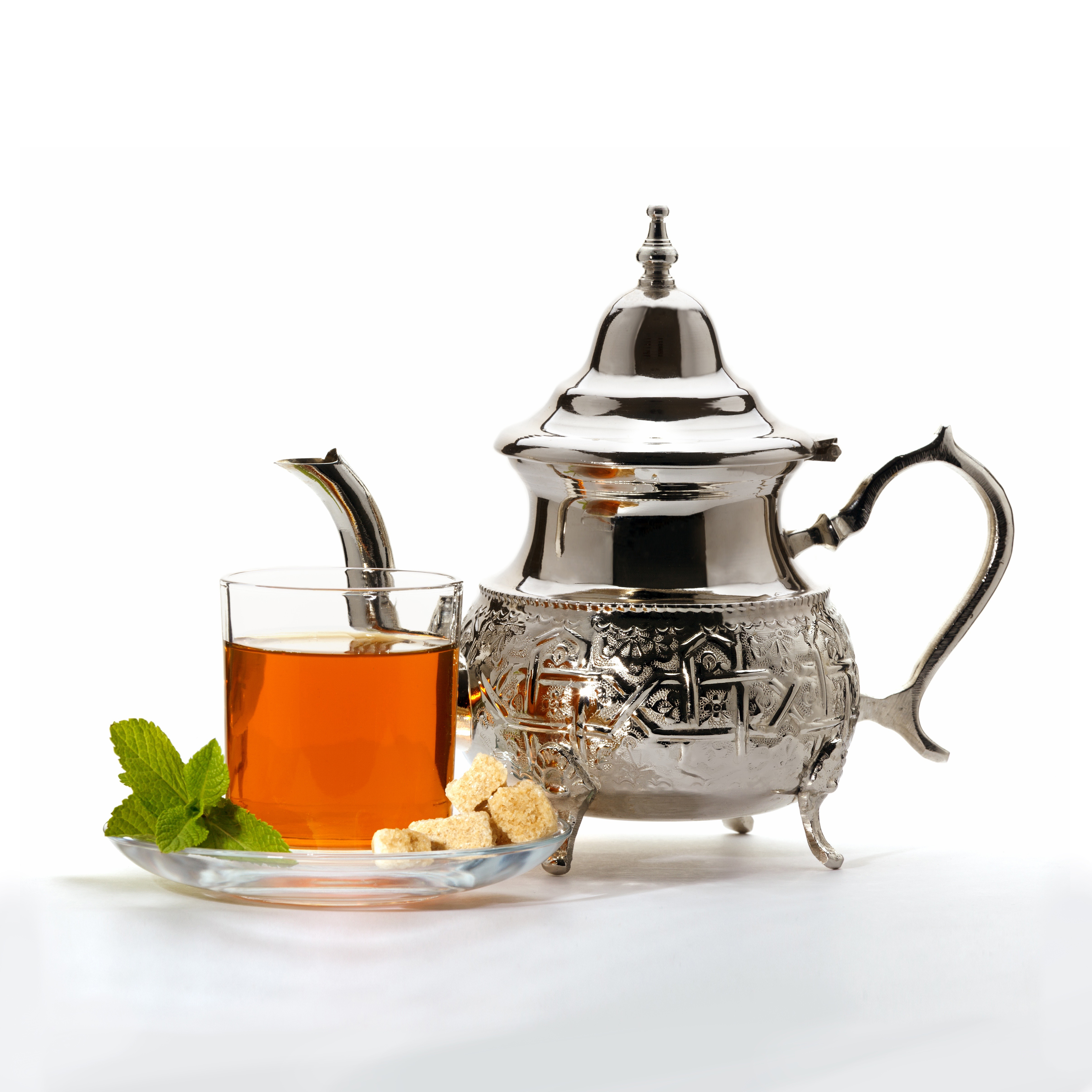Silver Teapot Reference Photo