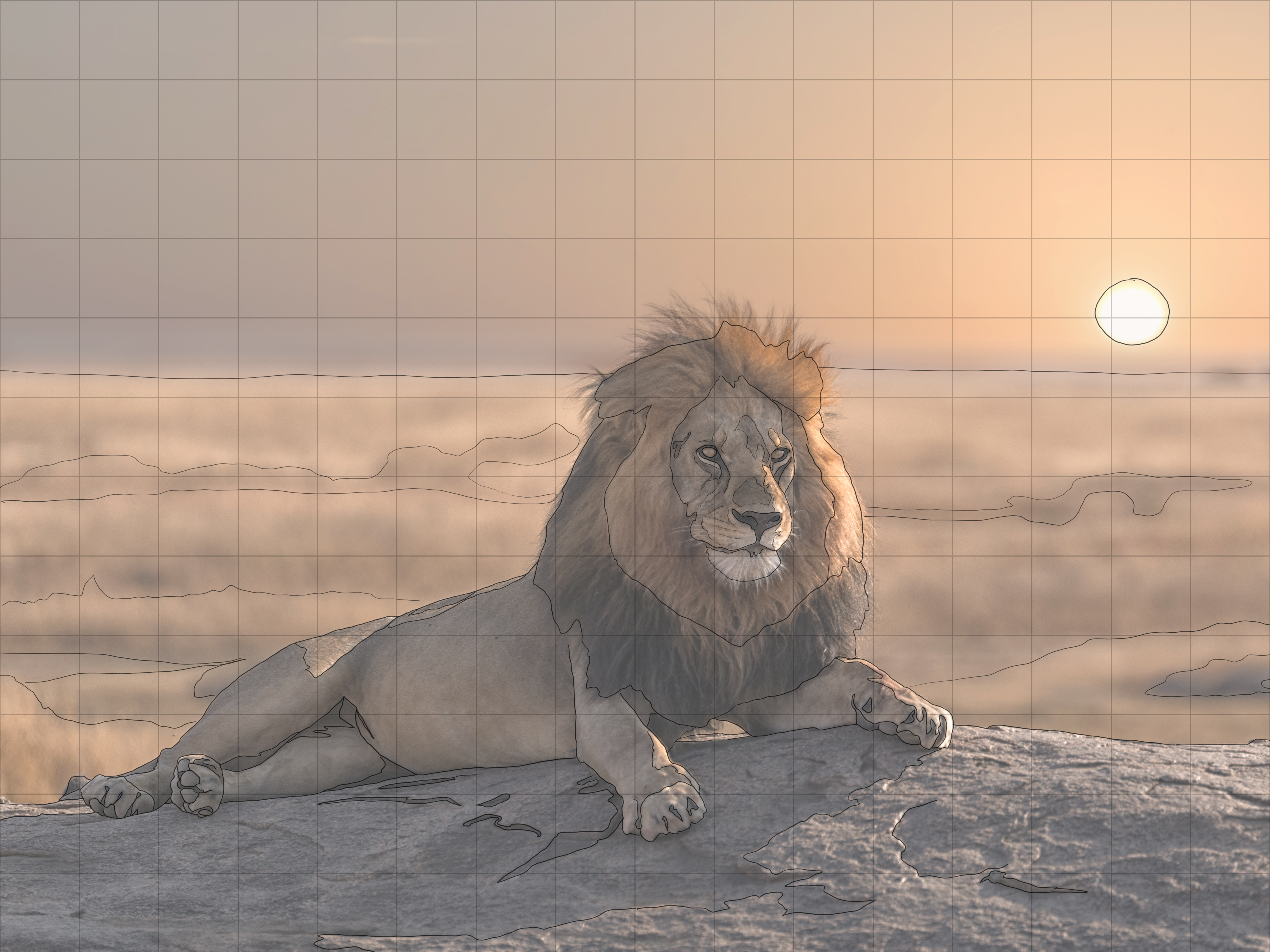 Lion Sketching Guide.jpg