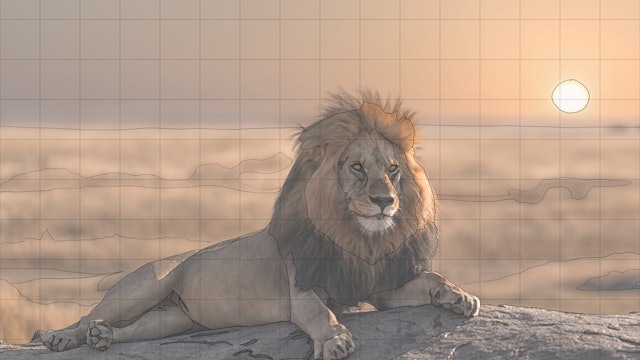 Lion Sketching Guide.jpg