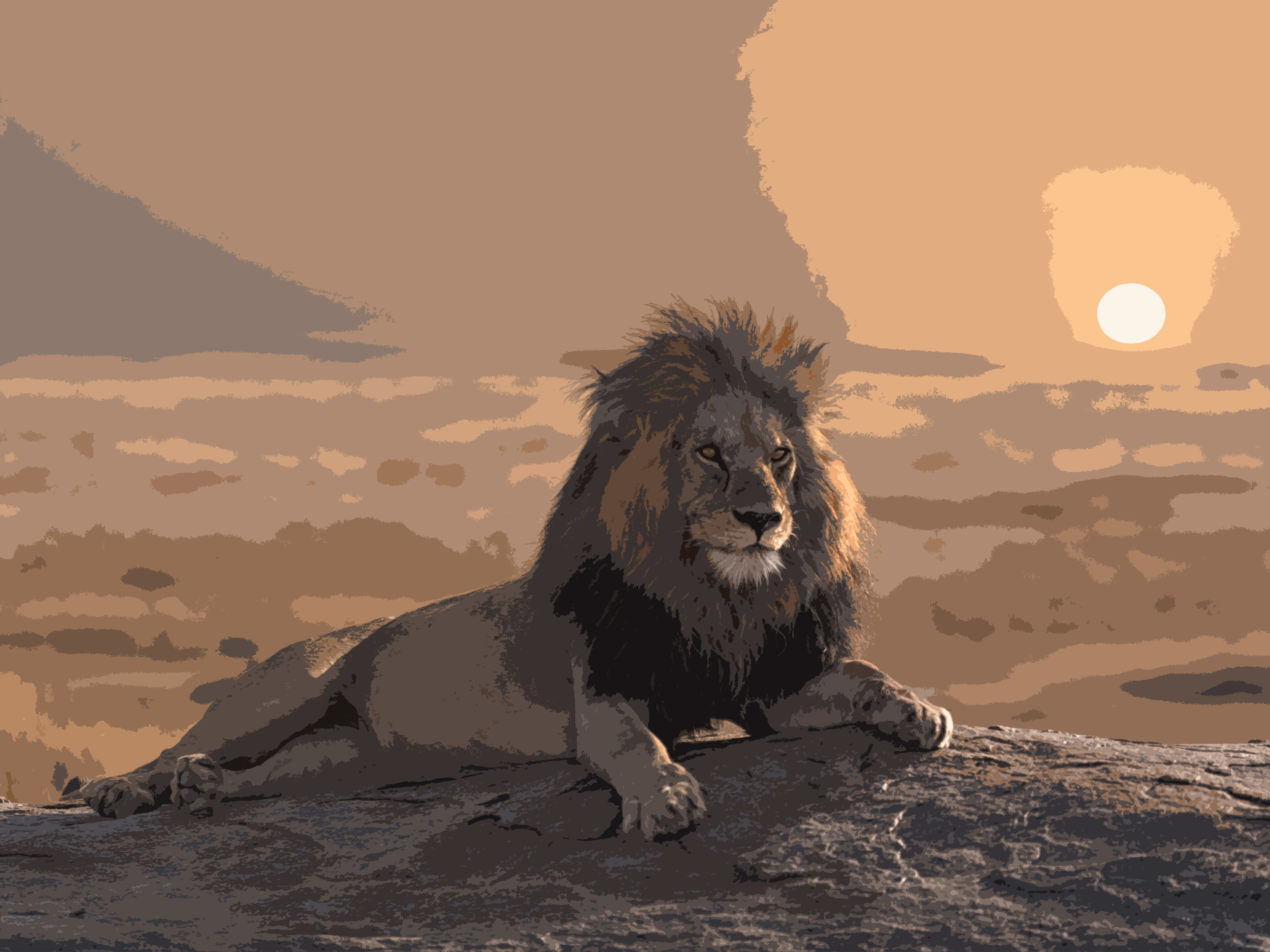 Lion Blocking Guide.jpg